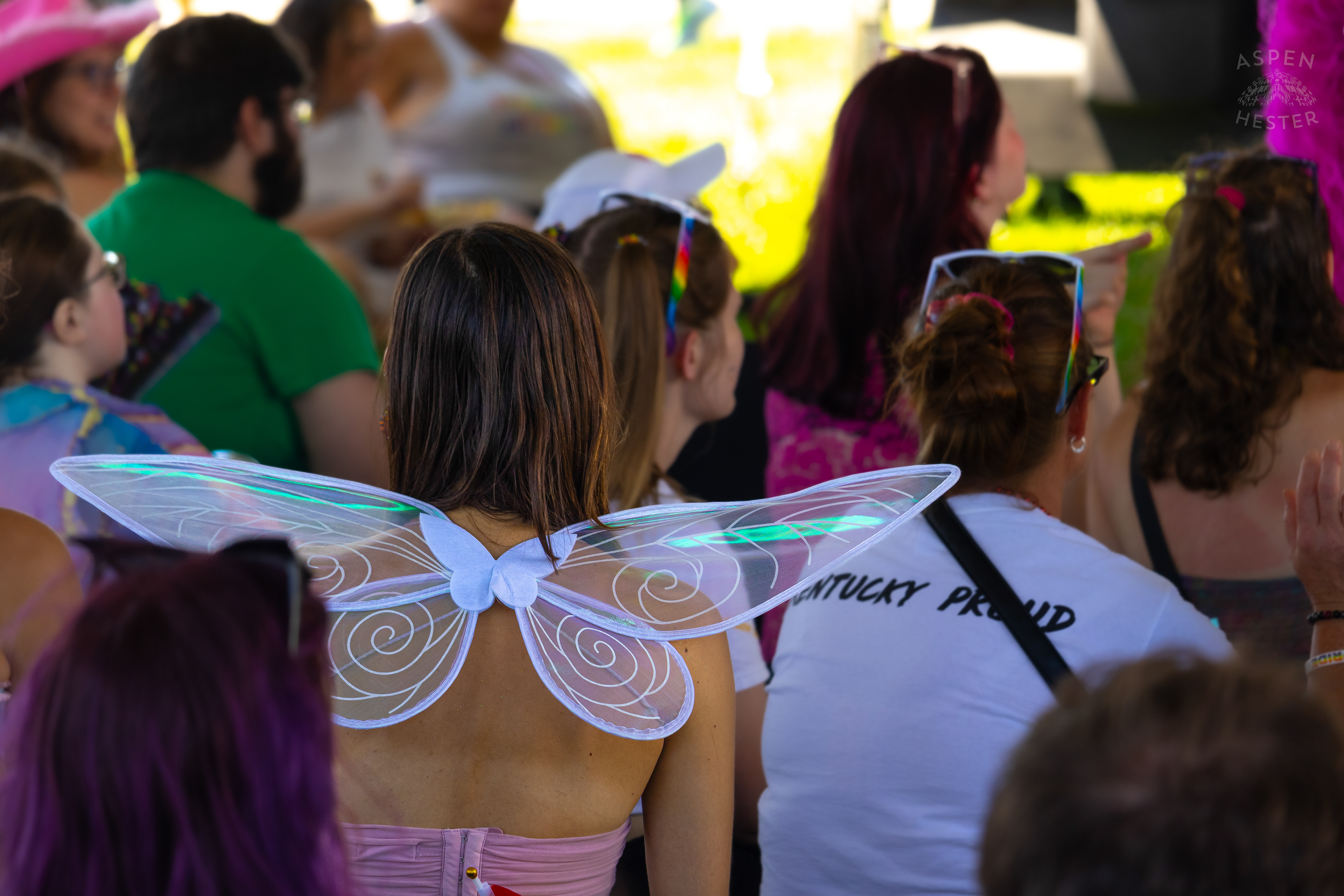 A Fairy at The Kentuckiana Pride Festival. June 15th, 2024/Aspen Hester
