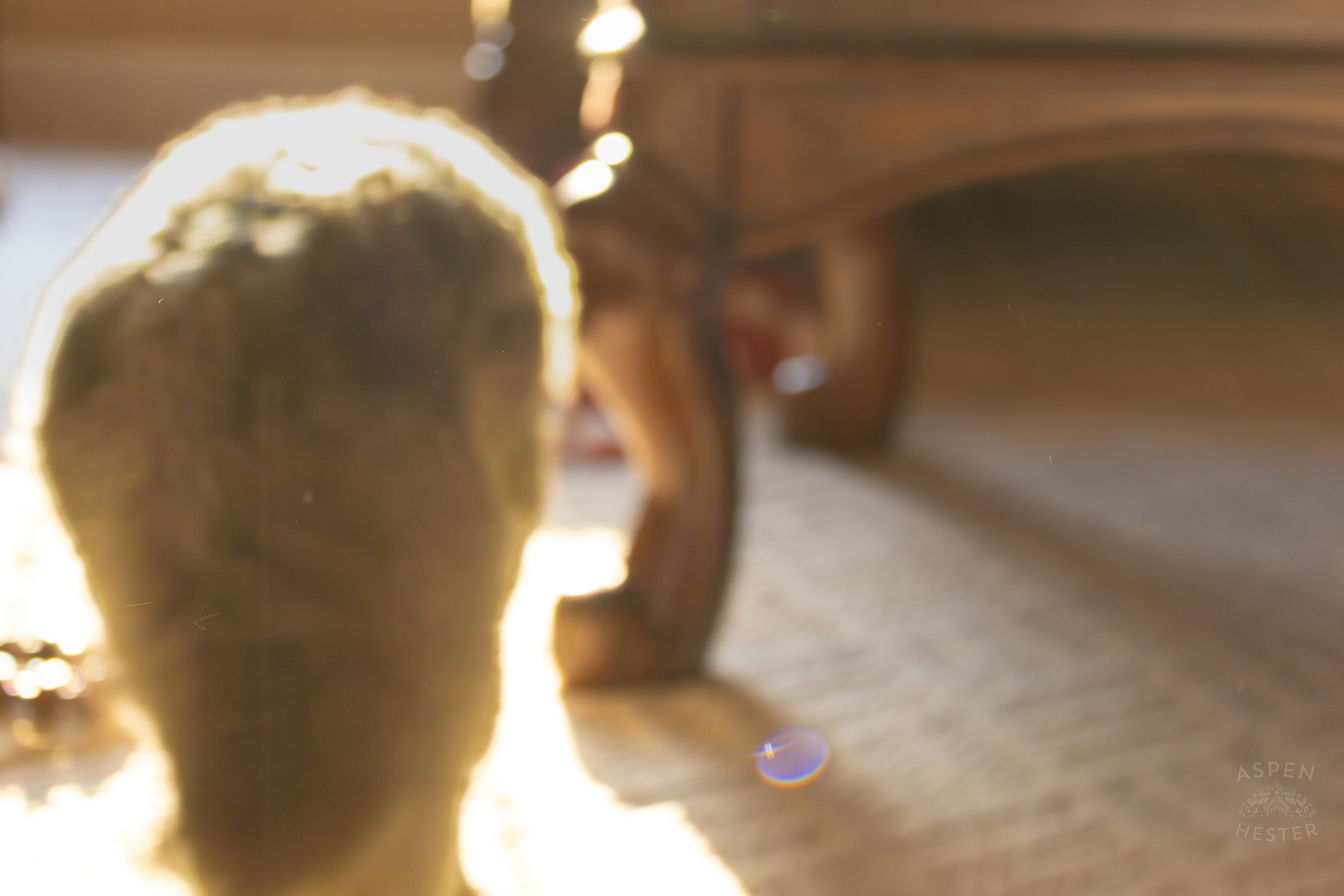 My Girl Mabel In The Sun. November 11th, 2024/Aspen Hester