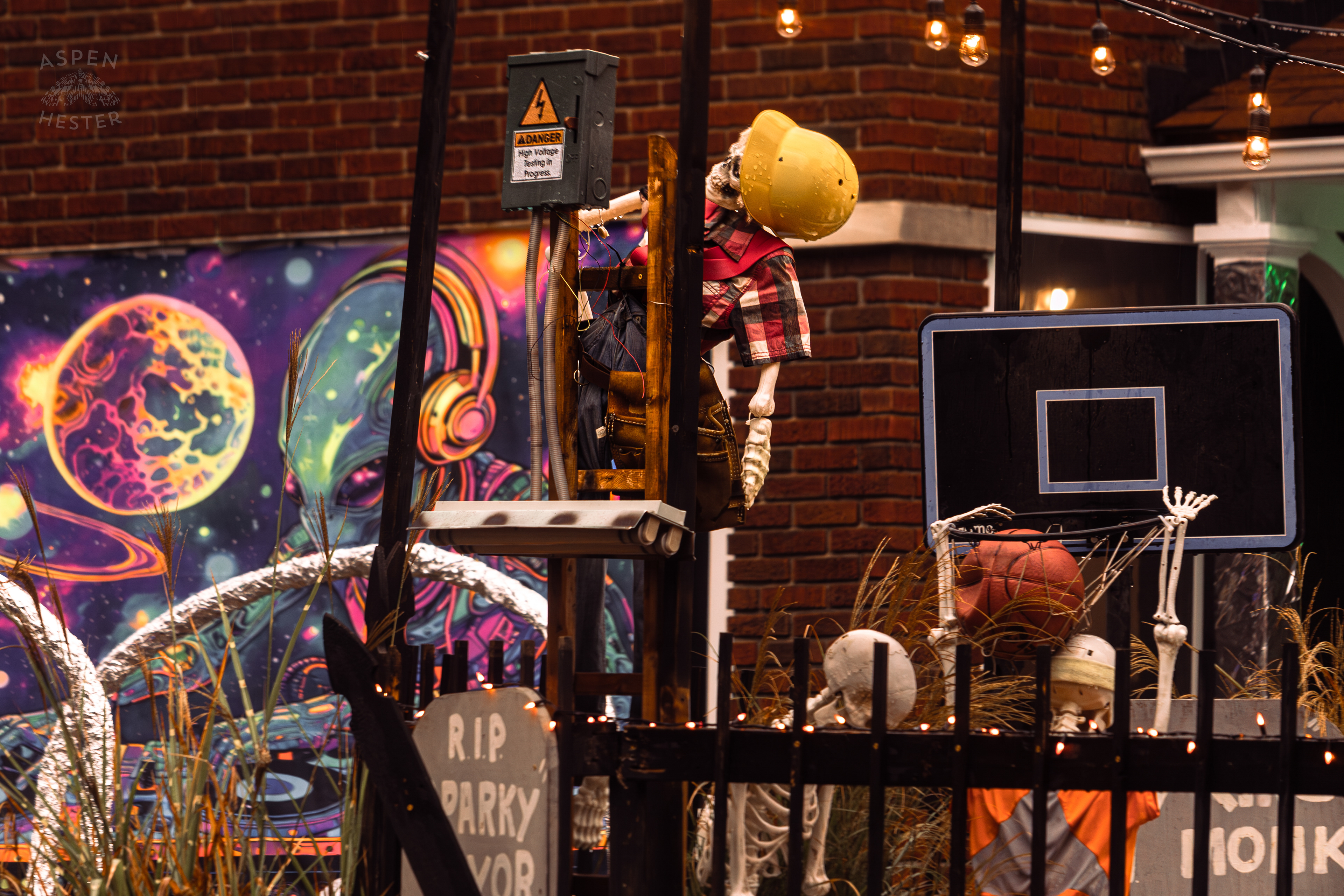 Electrician Skeleton, You Can Imagine What Happened to Him Along Hillcrest Avenue on Halloween Night. October 31st, 2024/Aspen Hester