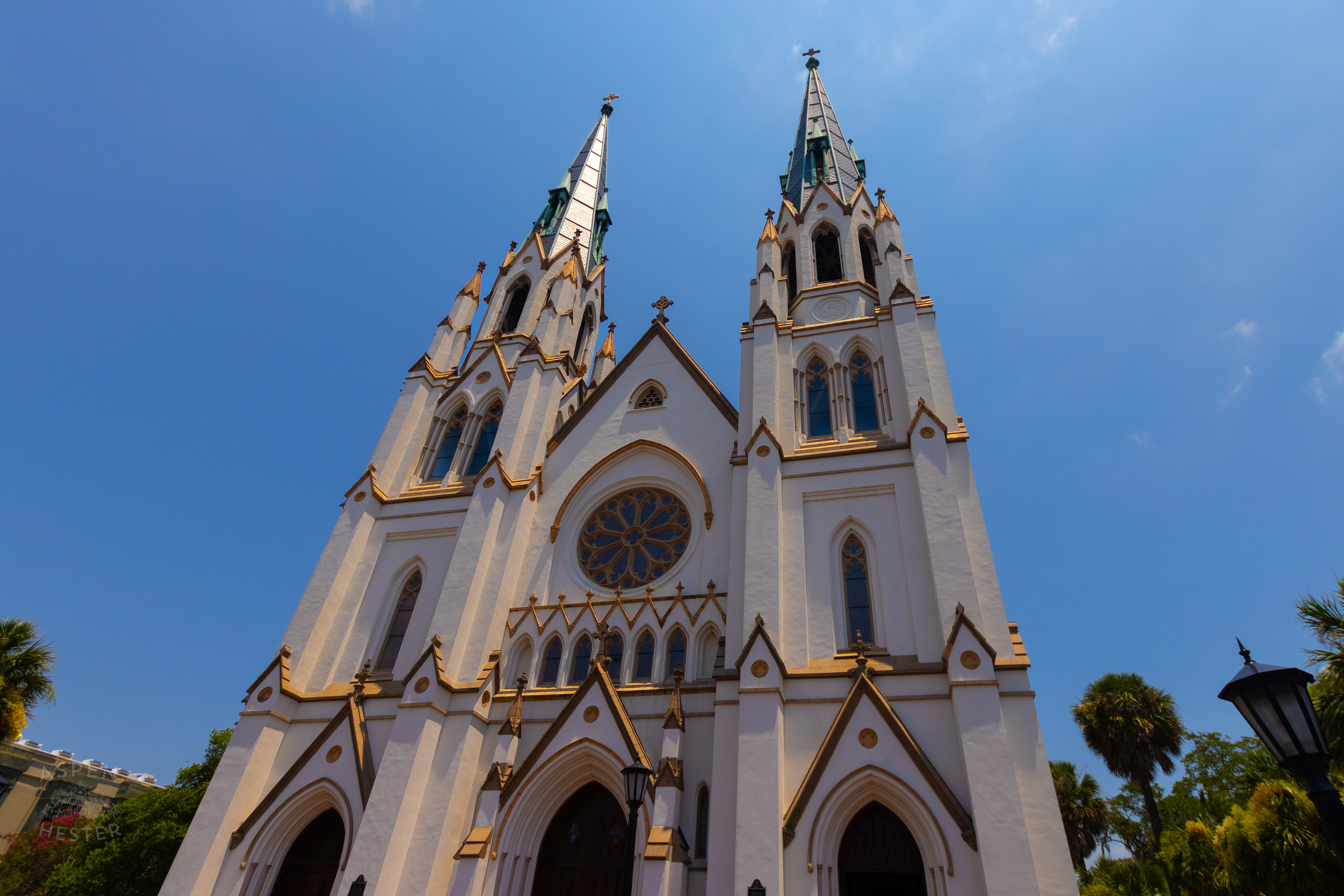 The Cathedral of St. John the Baptist Savannah Georgia. June 24th, 2024/Aspen Hester