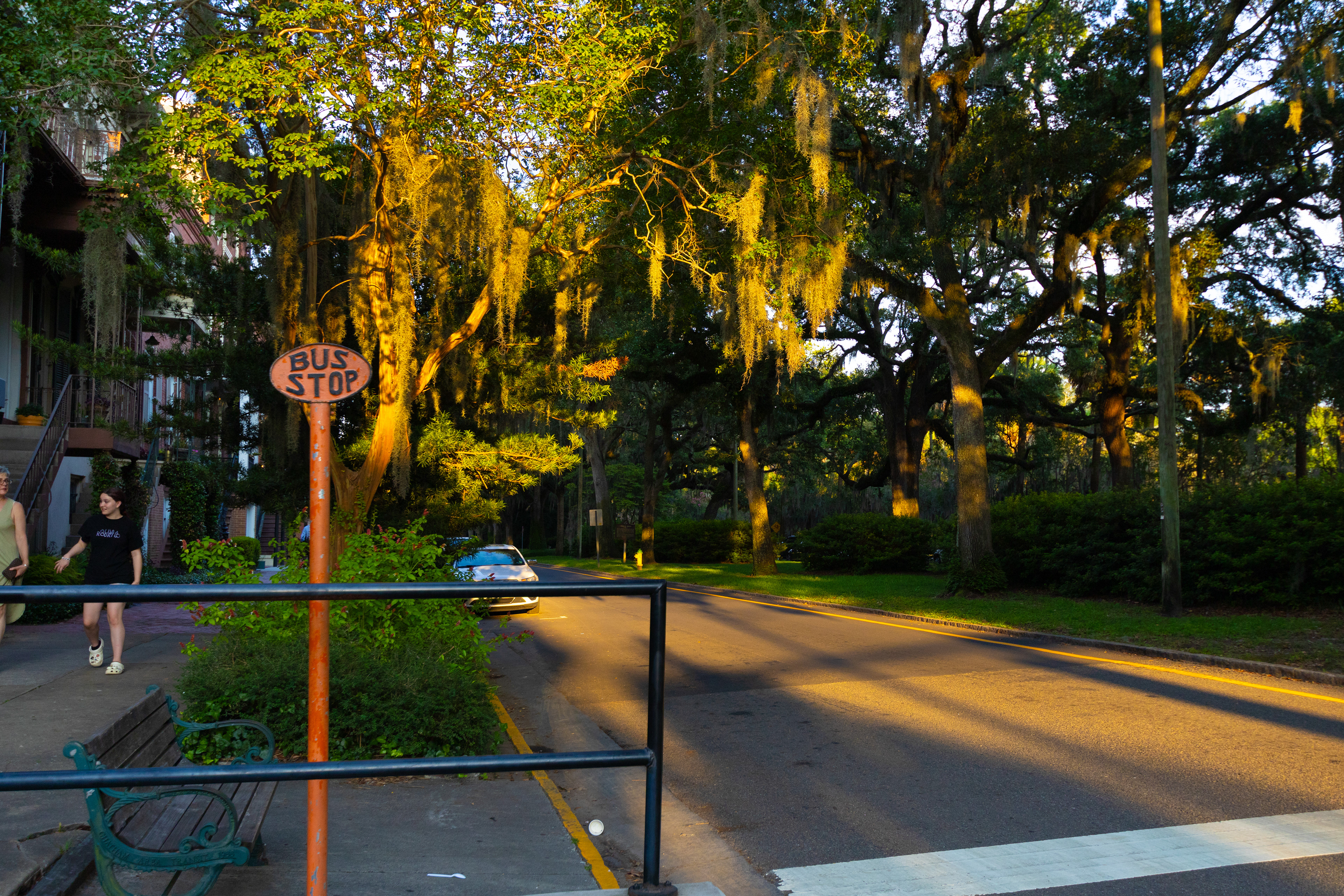  Savannah Georgia Bus Stop. June 24th, 2024/Aspen Hester