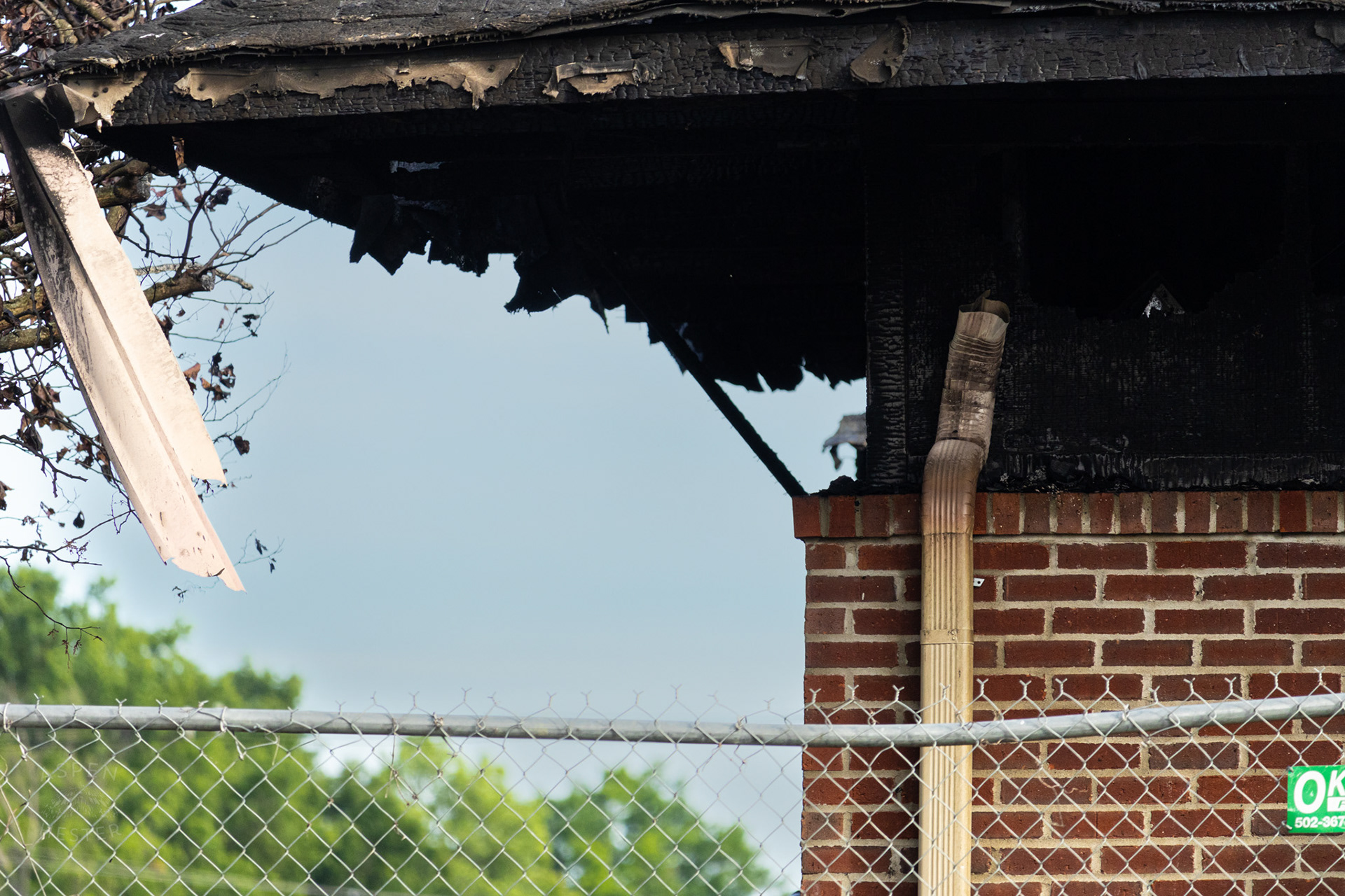Remains of The Old Library on Preston Highway. May 31st, 2024/Aspen Hester