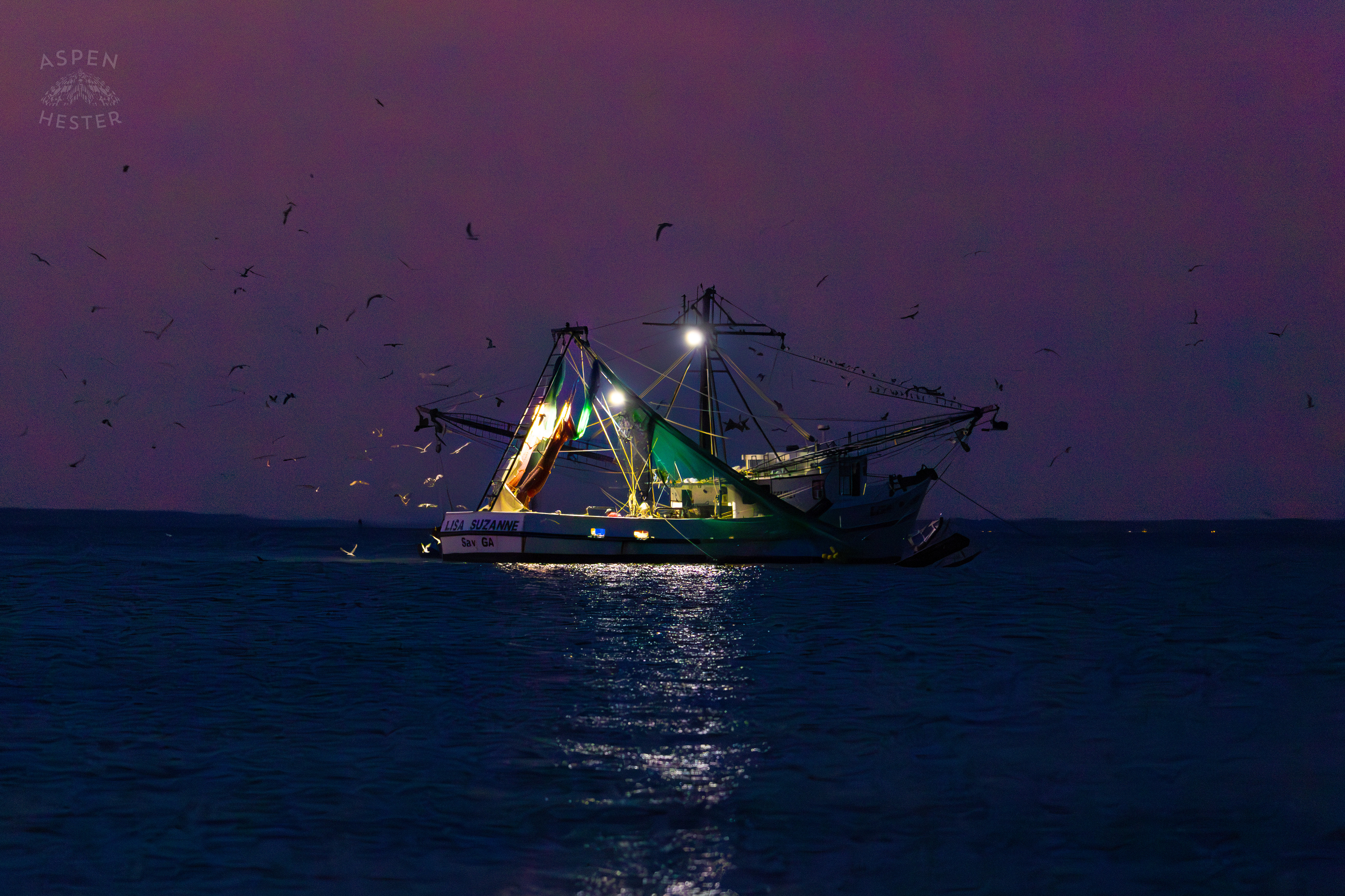 The ‘Lisa Suzanne’ in the Waters of Tybee Island Georgia. June 25th, 2024/Aspen Hester