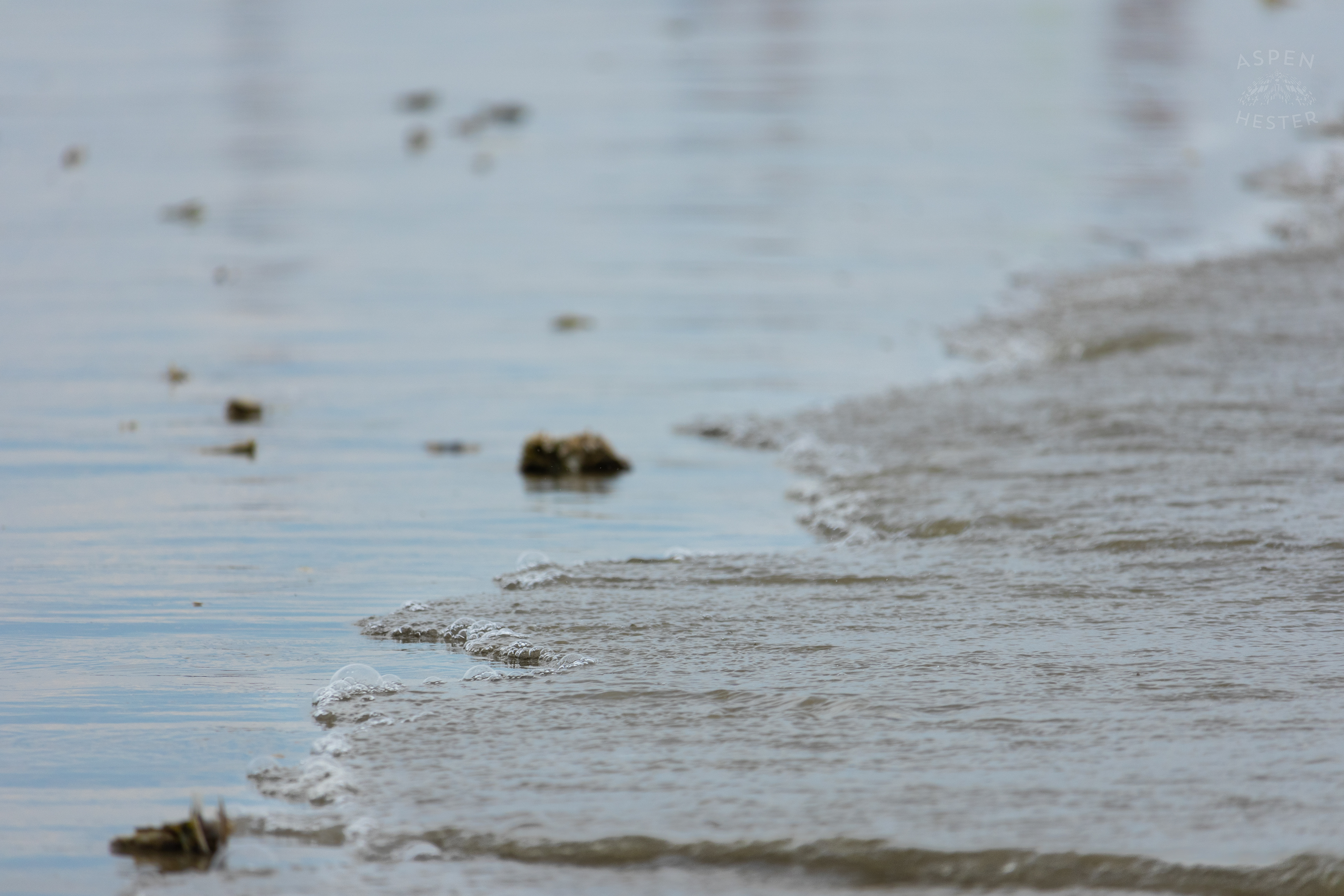 Tybee Island Georgia Beach. June 24th, 2024/Aspen Hester