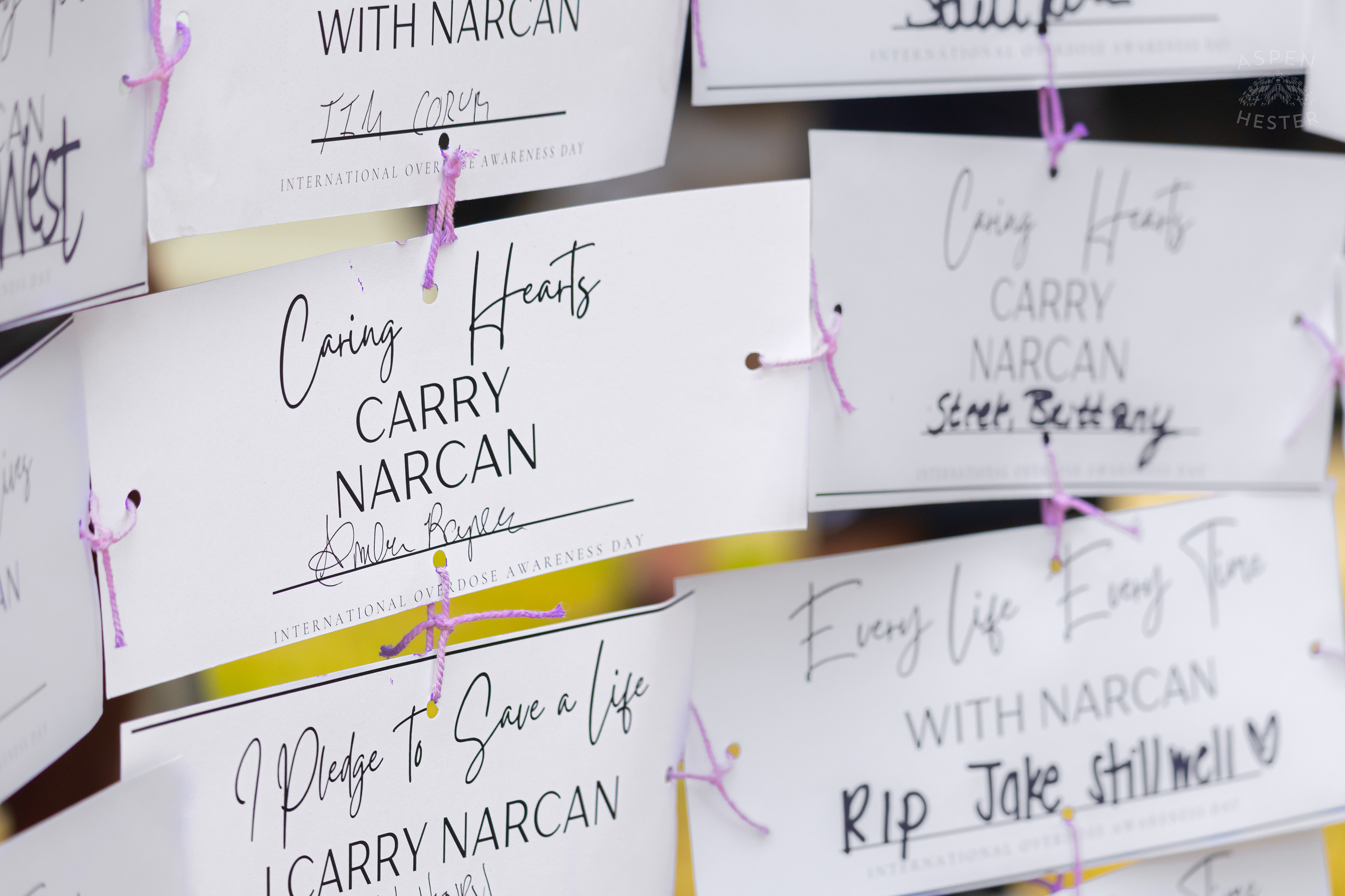 Cards Sharing Why People Carry Narcan with Them at The 3rd Annual Vocal KY International Overdose Awareness Day Rally and March. August 31st, 2024/Aspen Hester