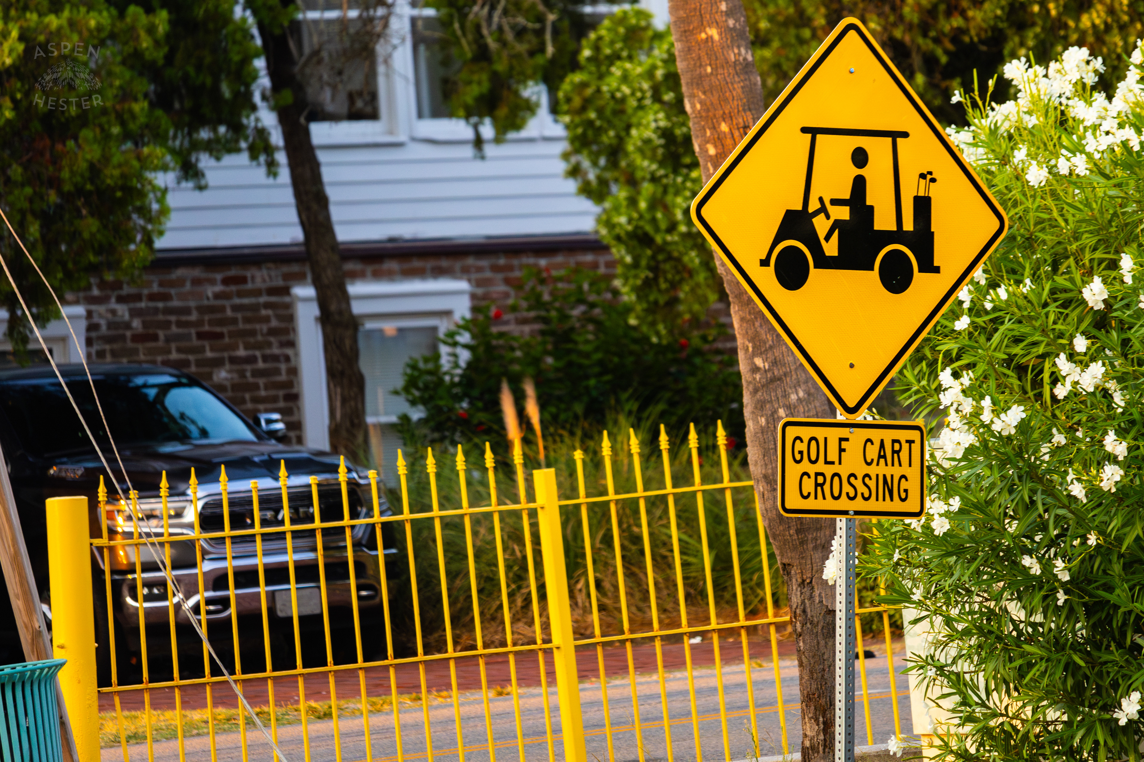 Golf Cart Crossing on Tybee Island Georgia. June 25th, 2024/Aspen Hester