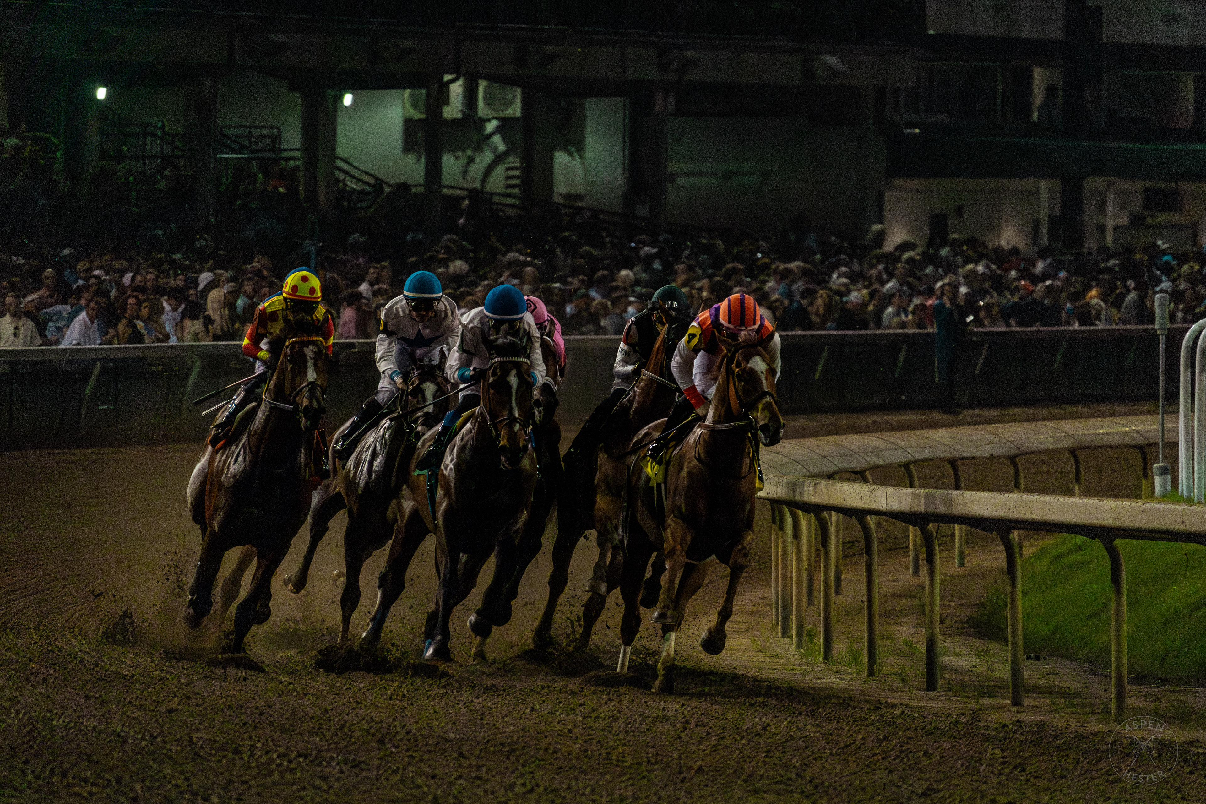 Horses Racing at Downs After Dark. May 18th, 2024/Aspen Hester