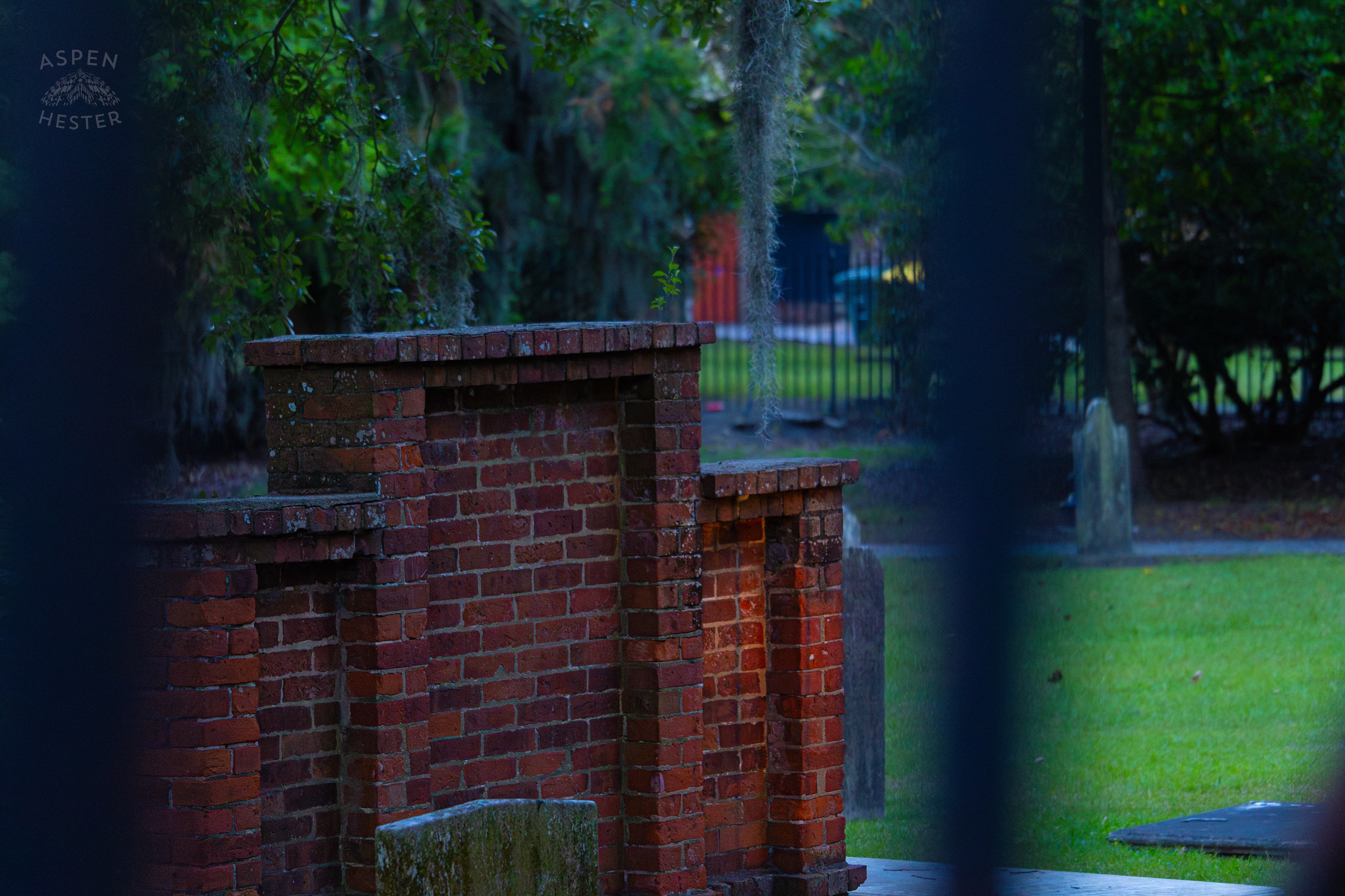 Colonial Park Cemetery Savannah Georgia. June 24th, 2024/Aspen Hester