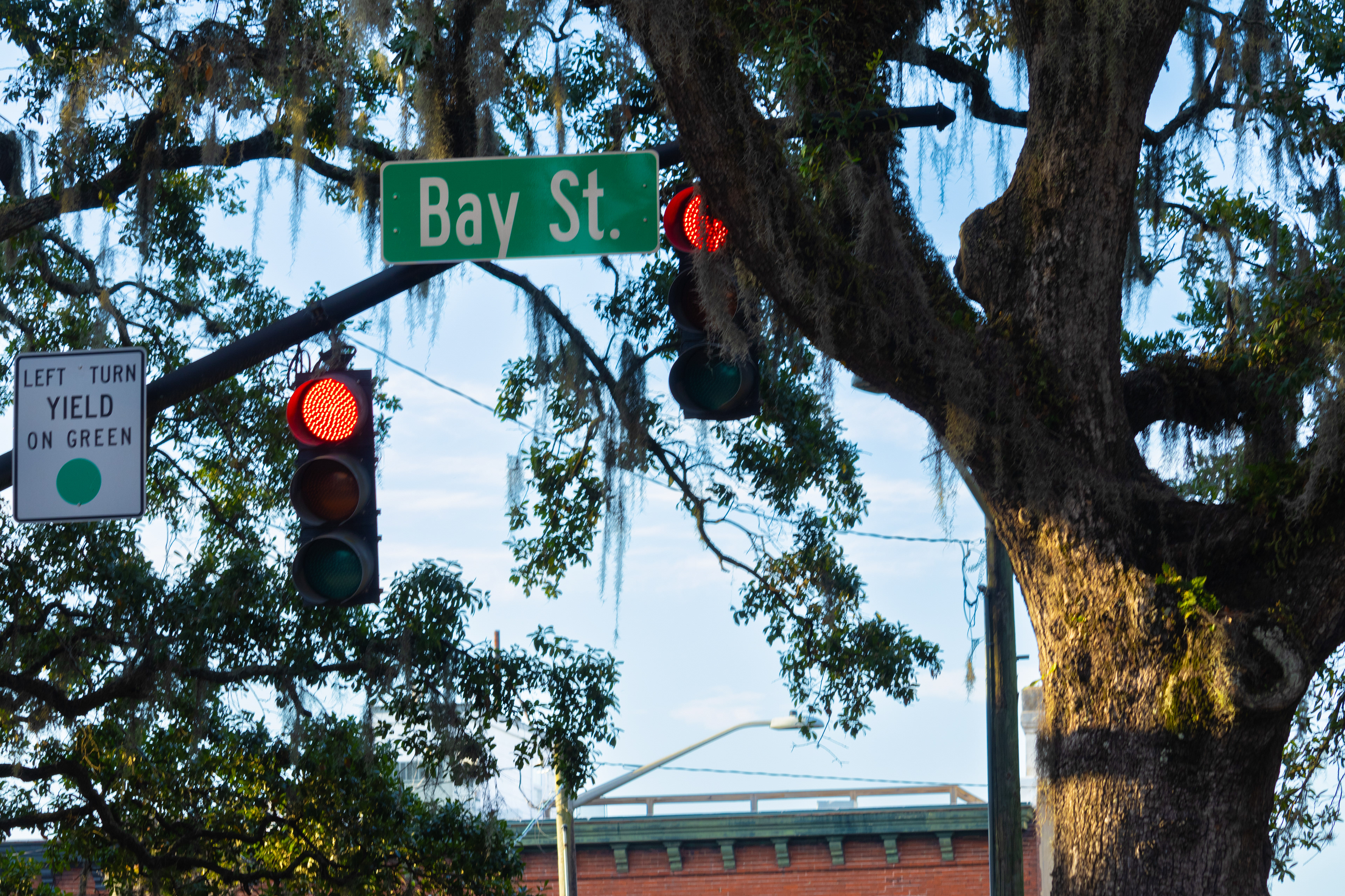 Bay Street Savannah Georgia. June 24th, 2024/Aspen Hester