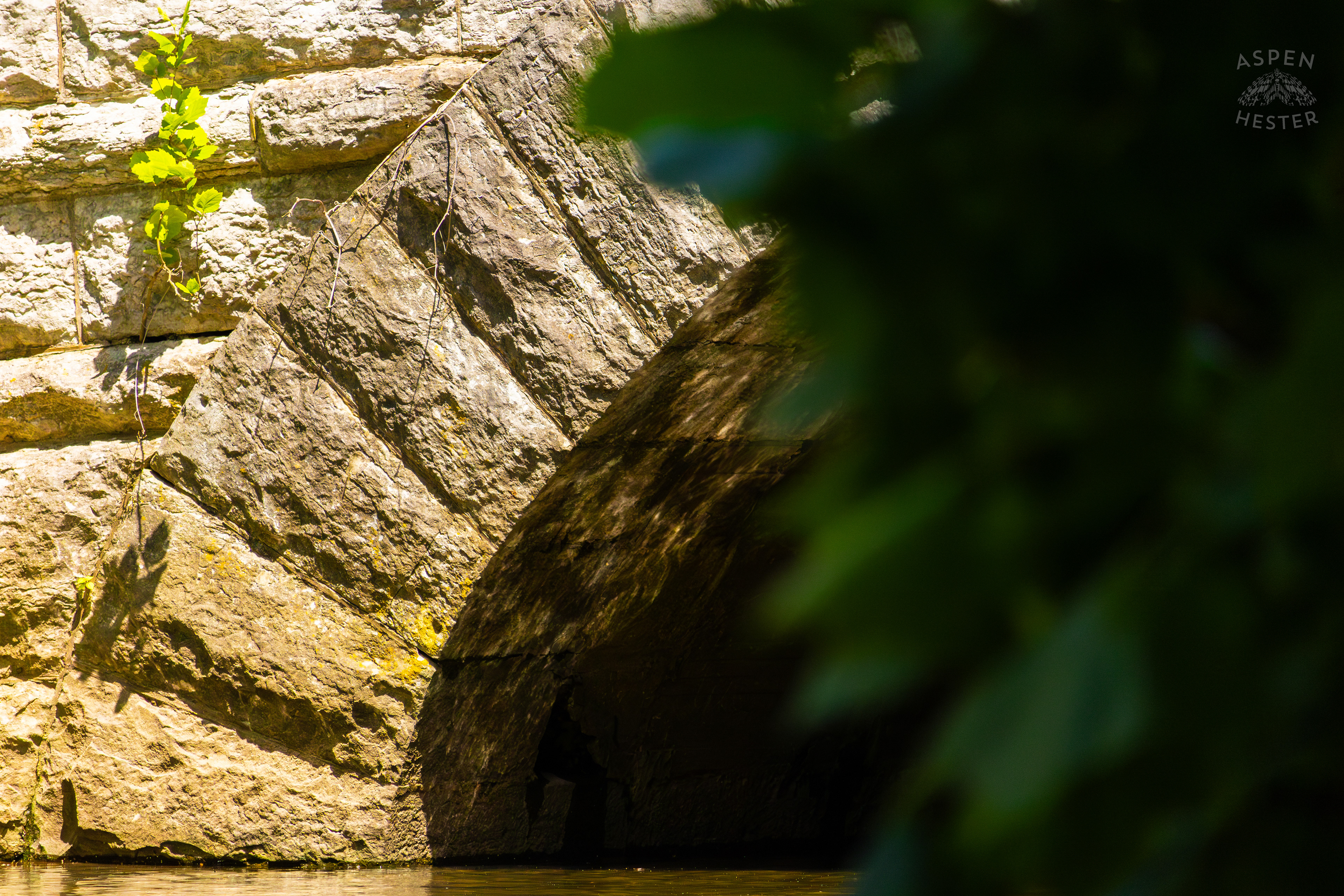 Park Boundary Bridge Over Middle Fork Beargrass Creek in Cherokee Park. May 28th, 2024/Aspen Hester