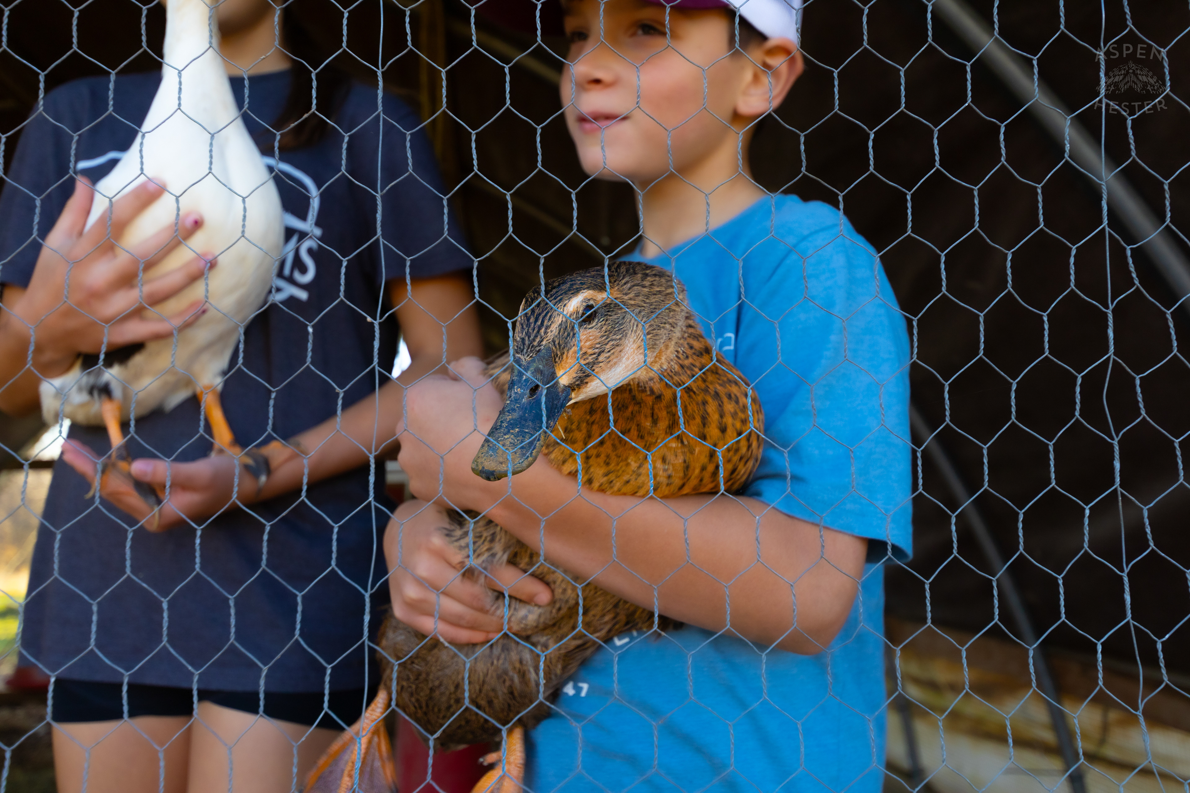 Tilden Skinner Showing Off His Sisters Duck Venom on Skinner Farms Thanksgiving Turkey Pick Up Day. November 24th, 2024/Aspen Hester