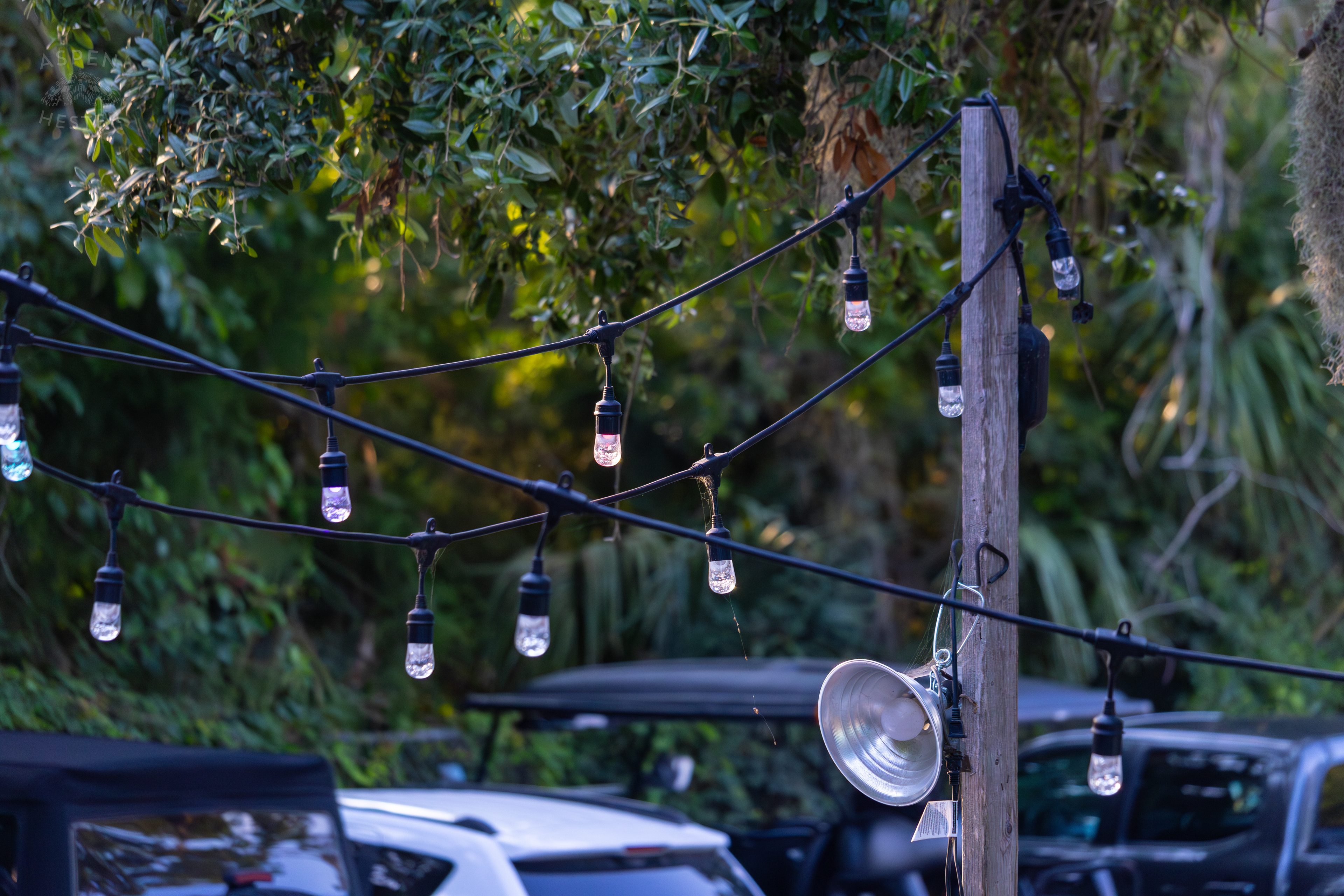 String Lights Outside Huc-A-Poos Bites and Booze on Tybee Island Georgia. June 25th, 2024/Aspen Hester