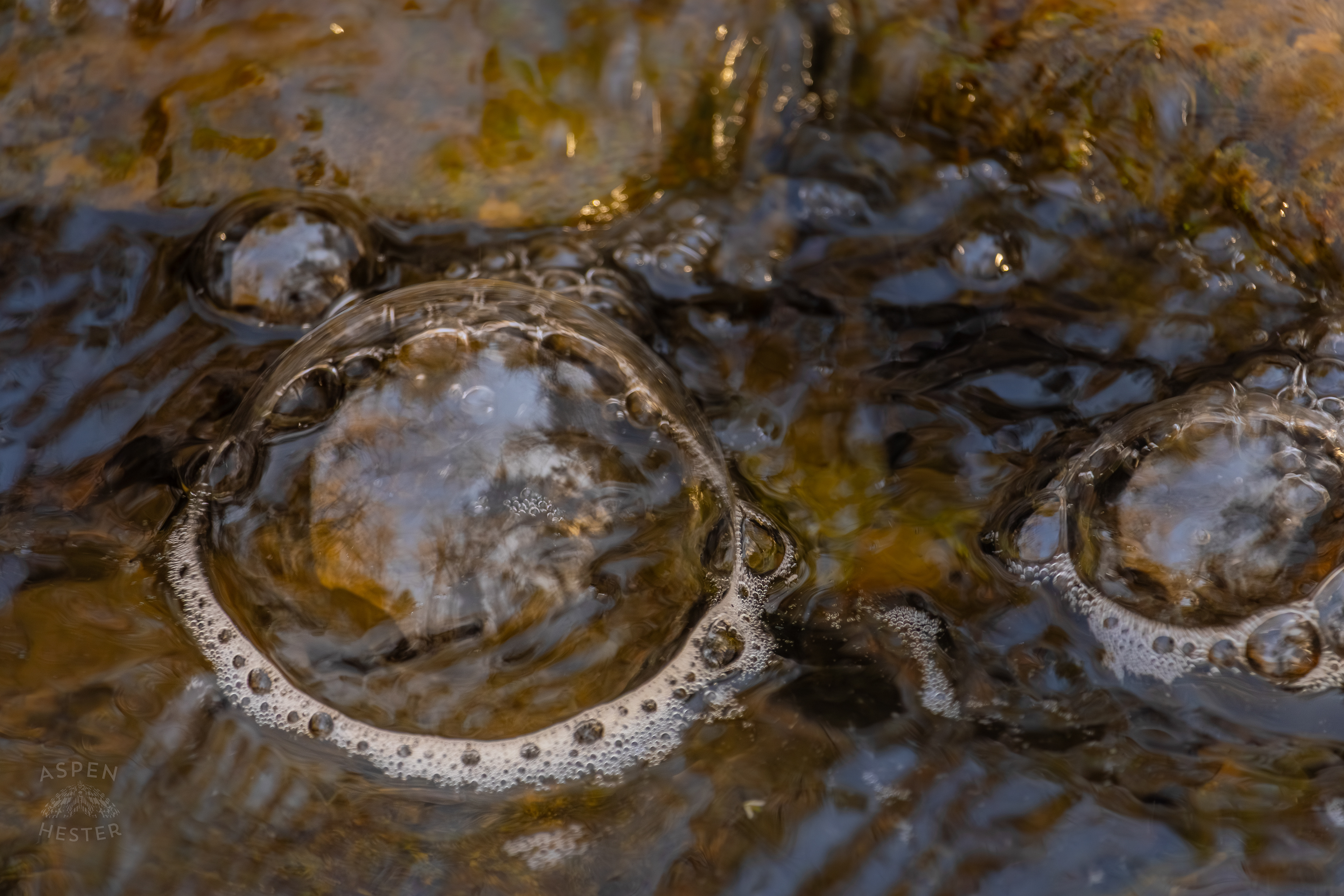 My Favorite Spot of Cedar Creek in Wendell Moore Park Right Before Spring. March 18th, 2025/Aspen Hester