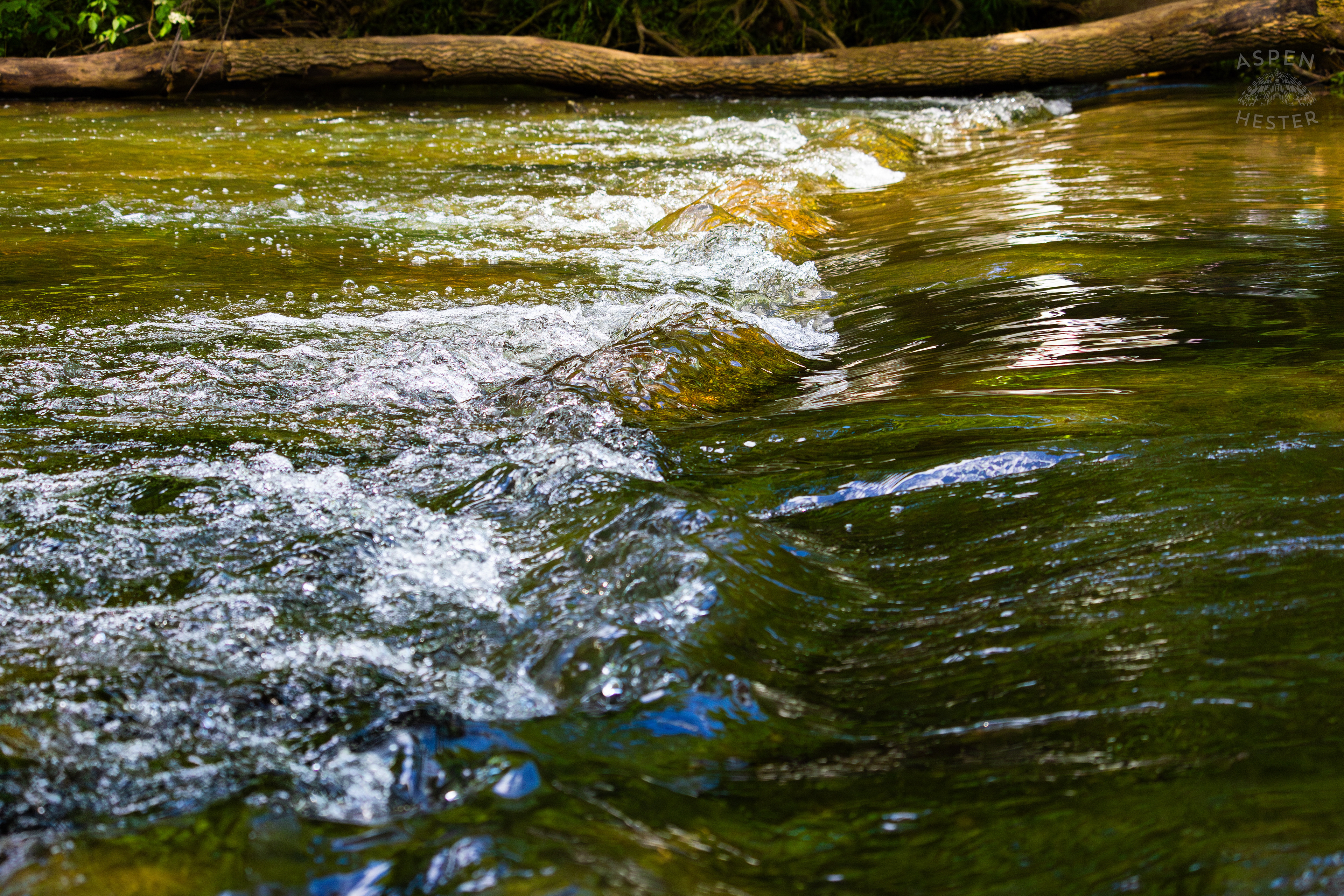 The Waters of Middle Fork Beargrass Creek in Cherokee Park. May 28th, 2024/Aspen Hester