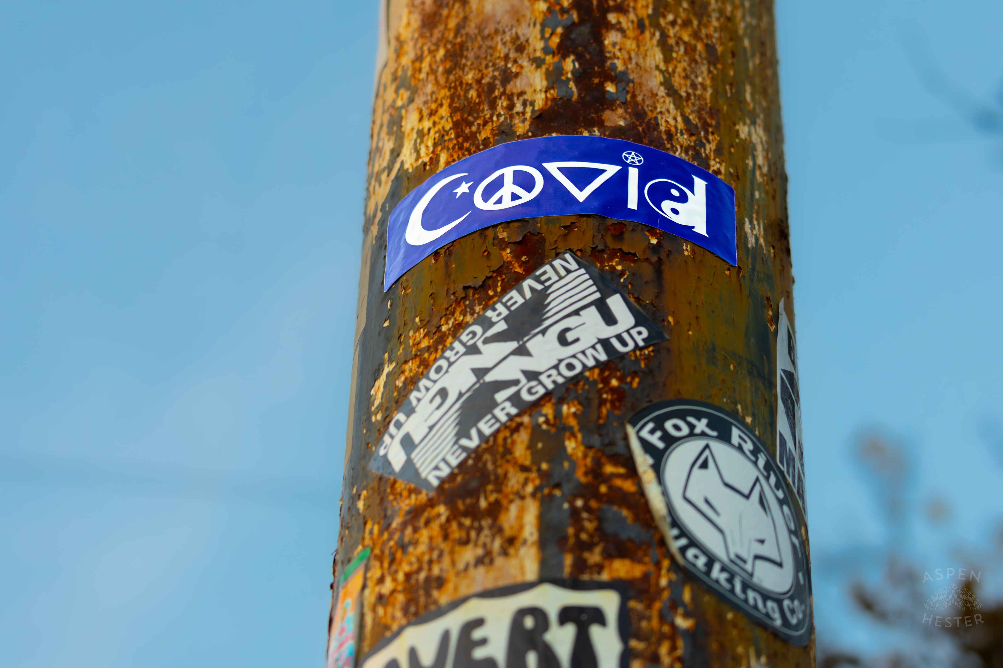 “Covid” Sticker in The Style of Coexist On A Power Pole In Nulu on A Saturday Evening. November 14th, 2024/Aspen Hester