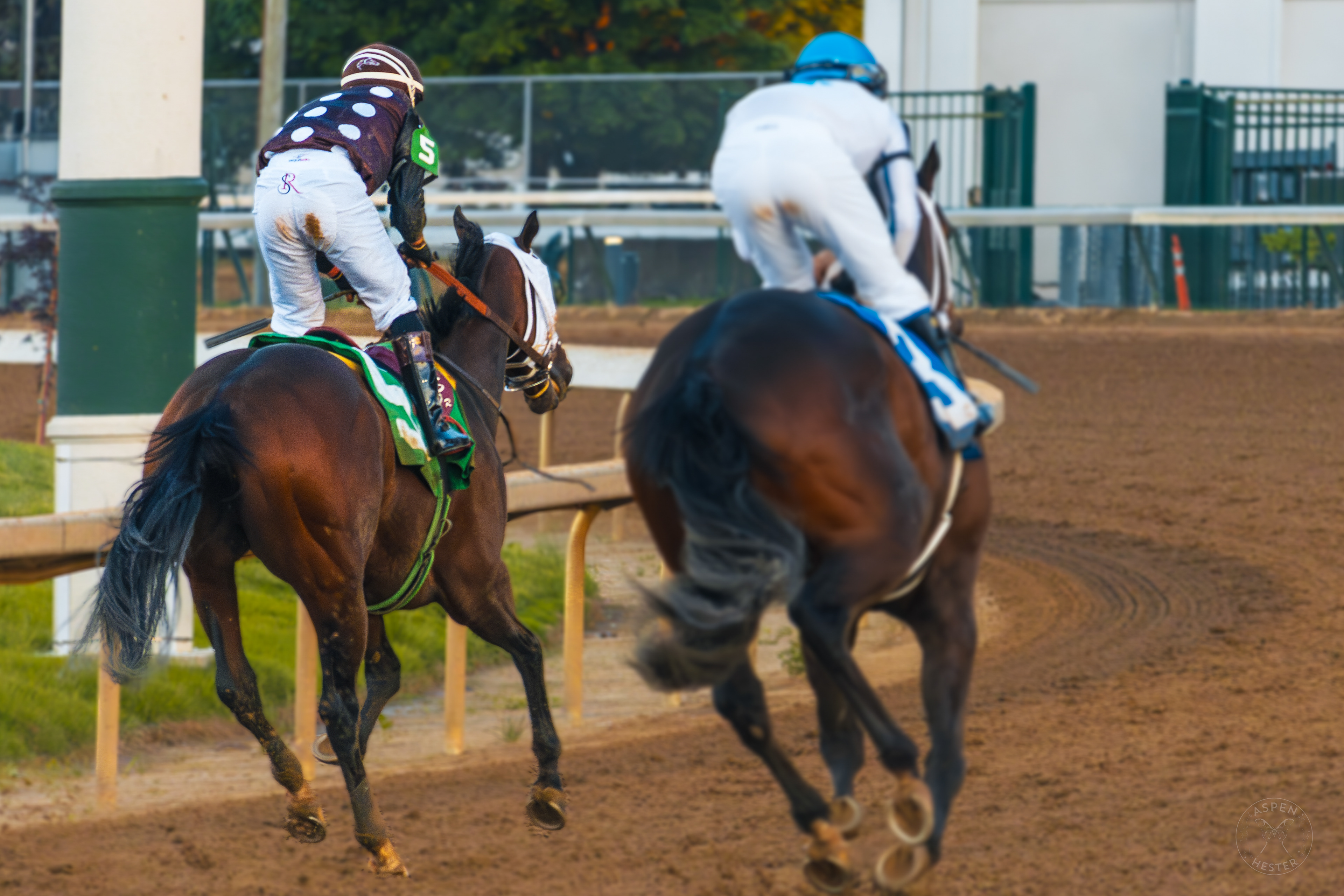 Horses Racing at Downs After Dark. May 18th, 2024/Aspen Hester