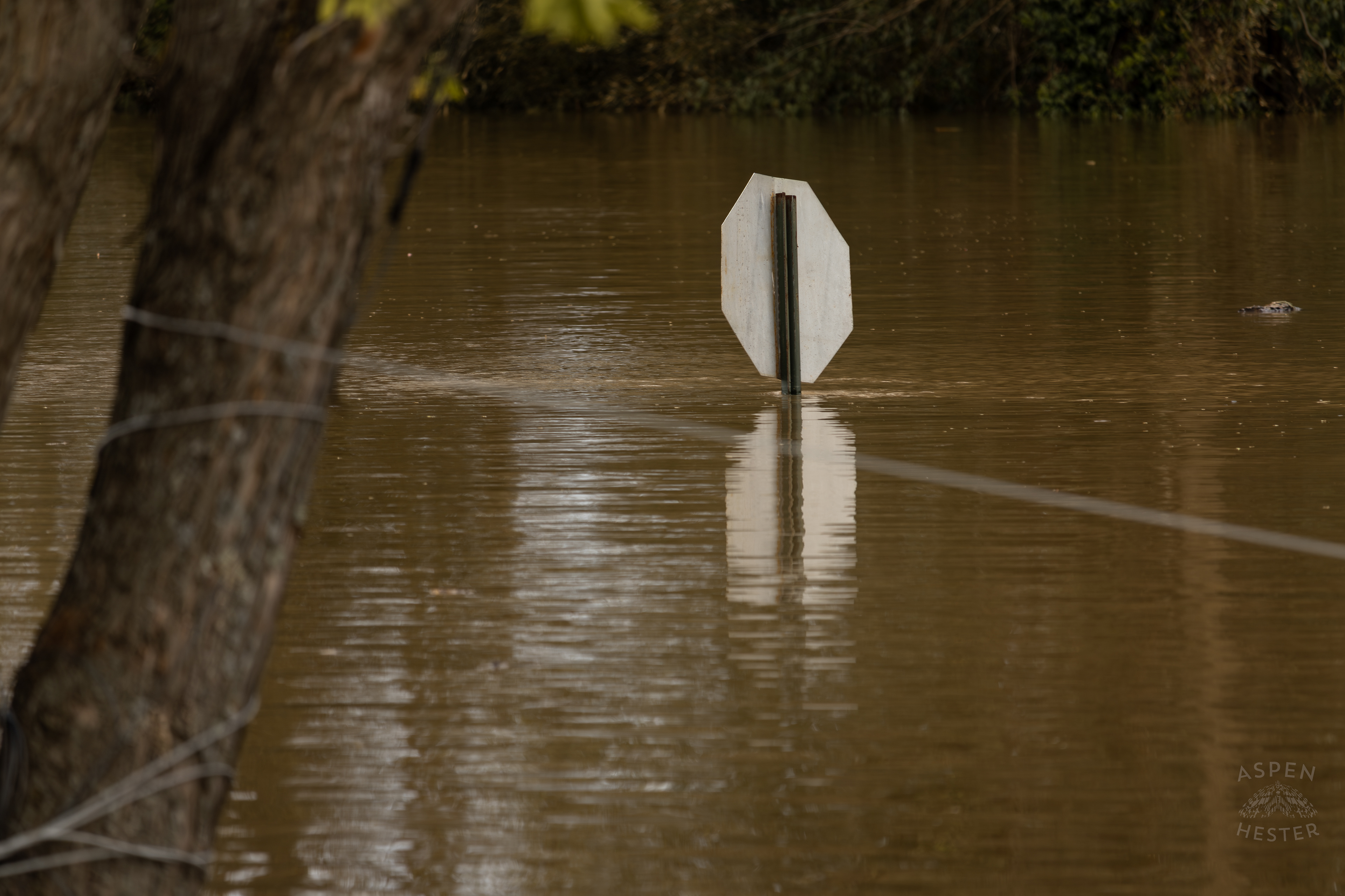 A Stop Sign Almost Fully Submerged Amid The Historic Flooding in Utica Indiana. April 9th, 2025/Aspen Hester