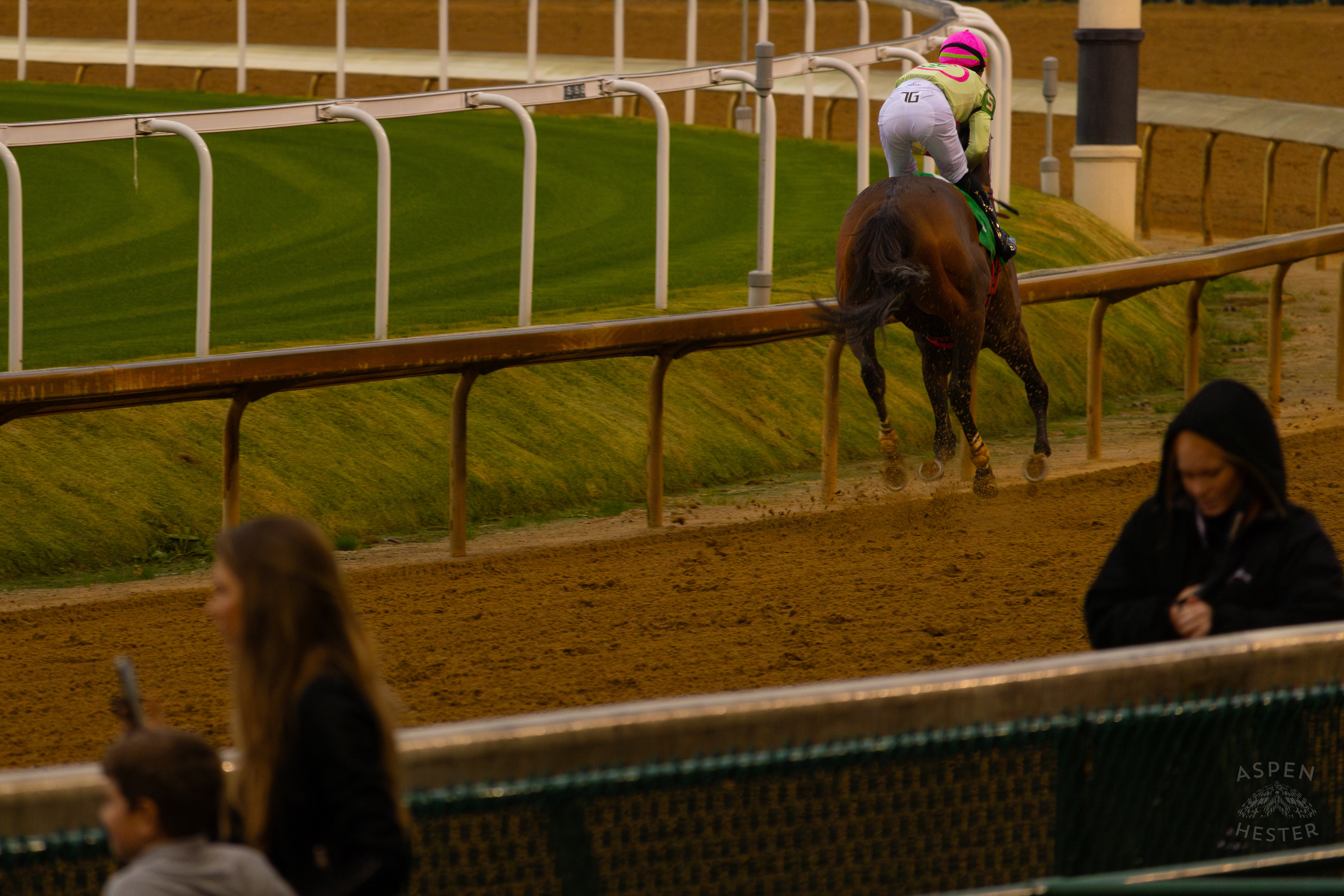 Horse #5 Play Good Pay Good Ridden by Jockey Tyler Gaffalione Running in Race 8 On The Day Bob Baffert Returned to Churchill Downs After A 3 Year Suspension. November 27th, 2024/Aspen Hester