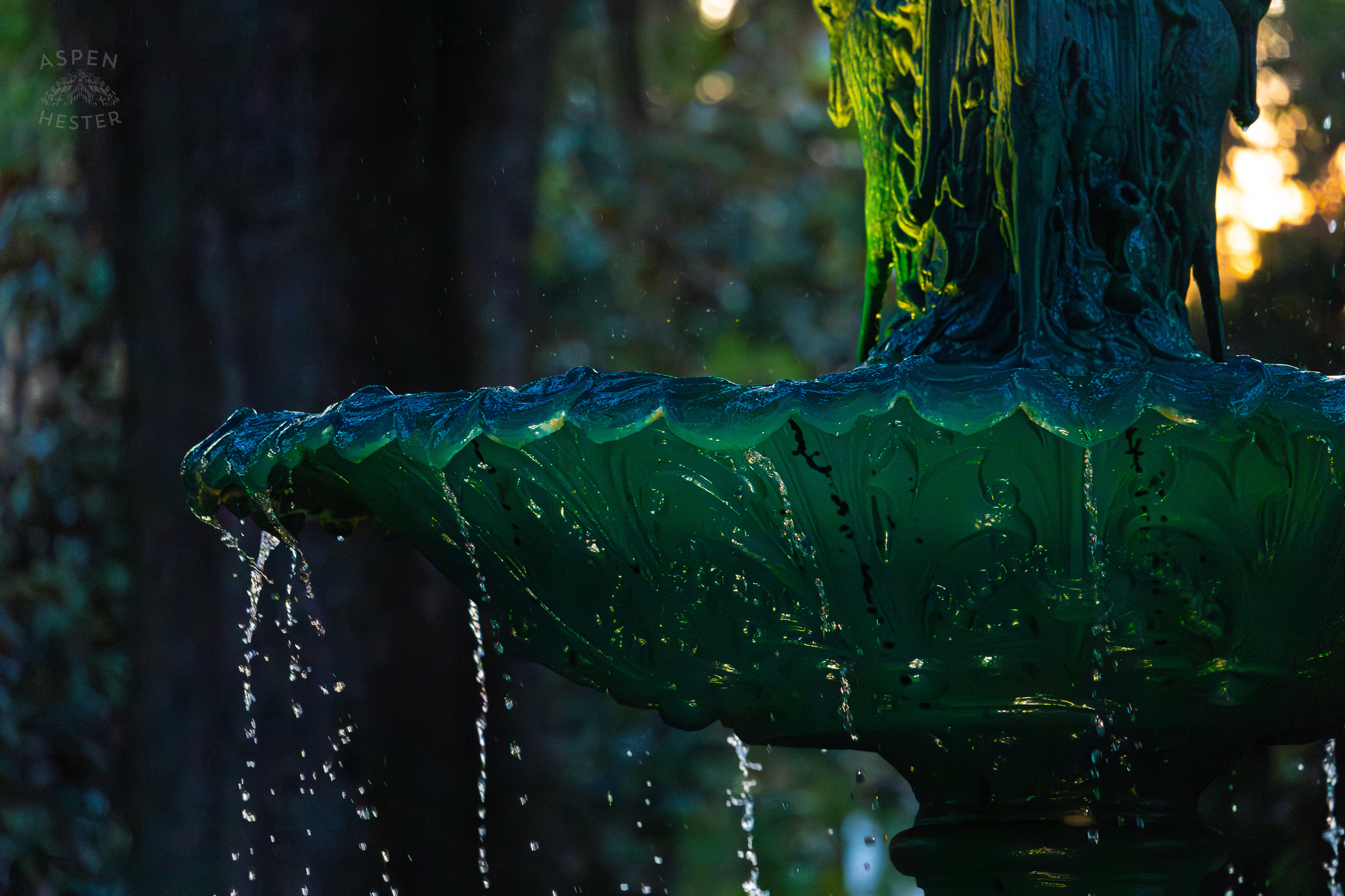 Fountain Outside The Hamilton-Turner Mansion Savannah Georgia. June 24th, 2024/Aspen Hester