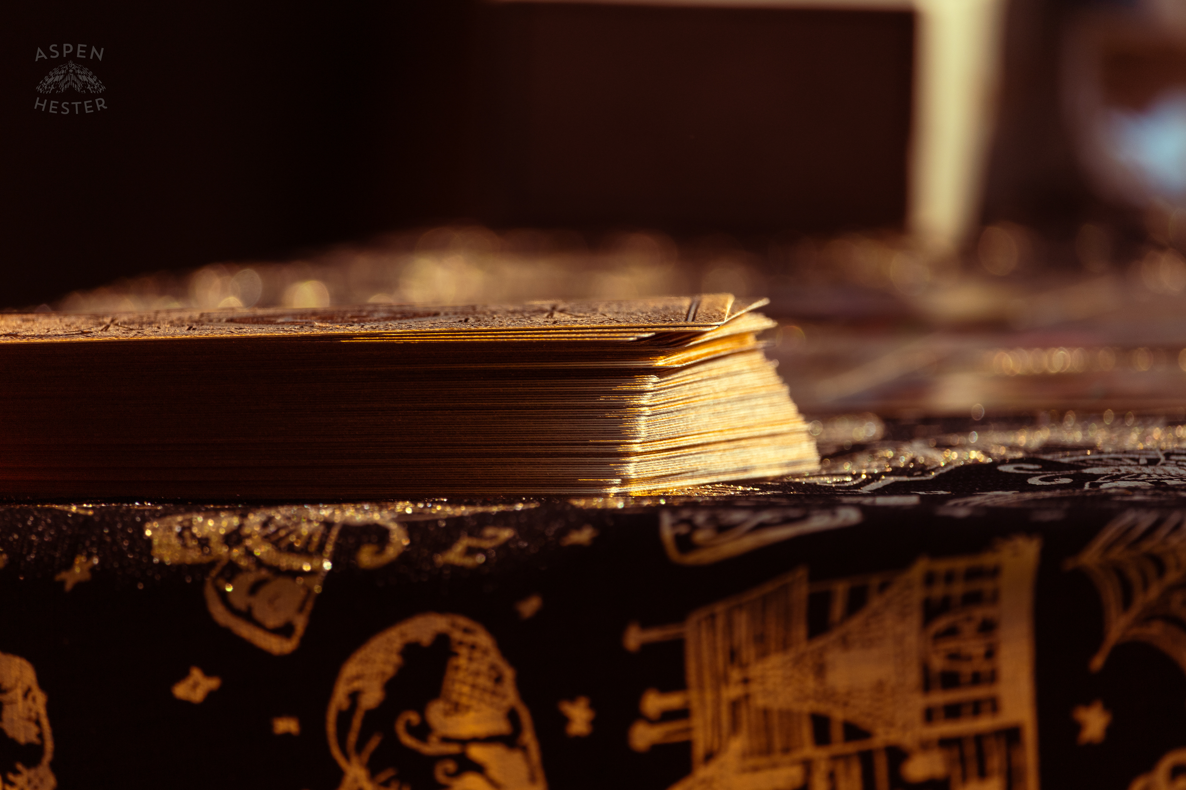 Tarot Readings at Stacey Edrington’s Yearly Witches Brunch in Mt. Washington. October 26th, 2024/Aspen Hester