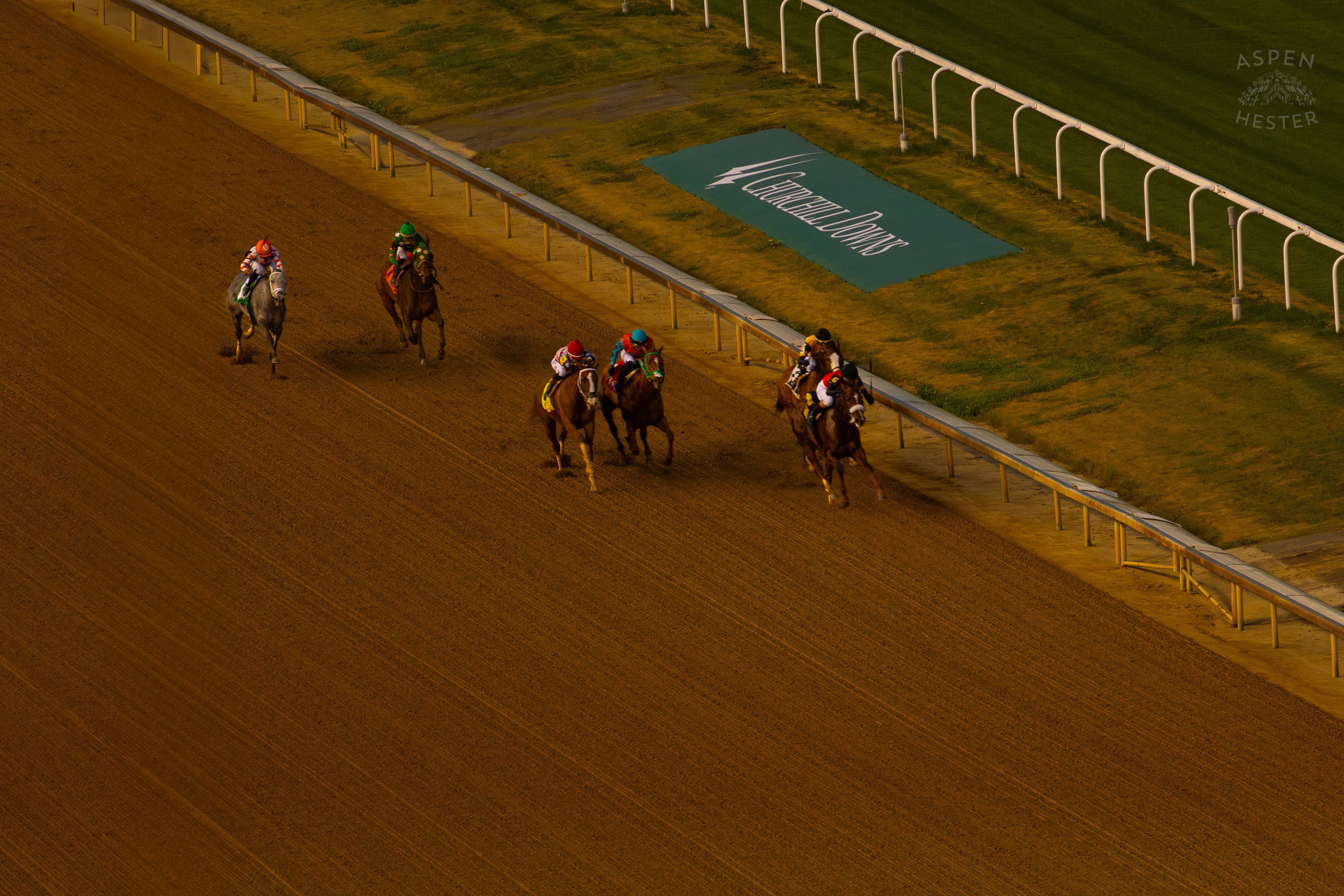 Horses Running in Race 9 On The Day Bob Baffert Returned to Churchill Downs After A 3 Year Suspension. November 27th, 2024/Aspen Hester