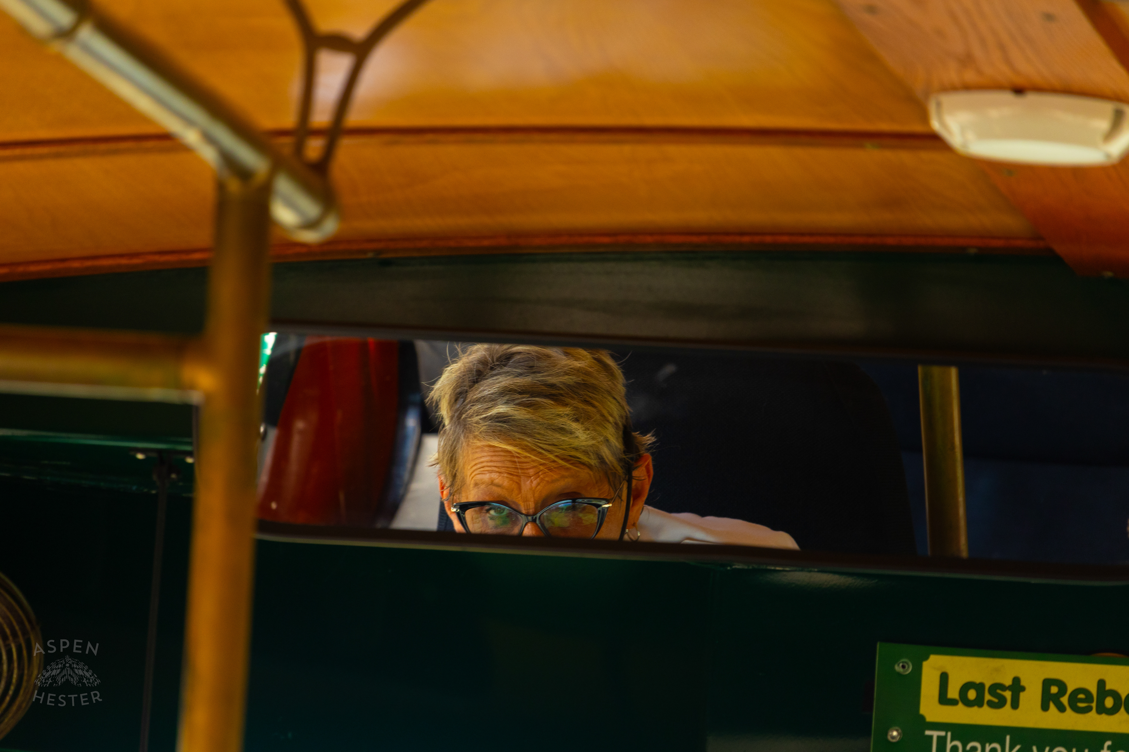 Trolly Driver and Guide Cindy in Savannah Georgia. June 26th, 2024/Aspen Hester