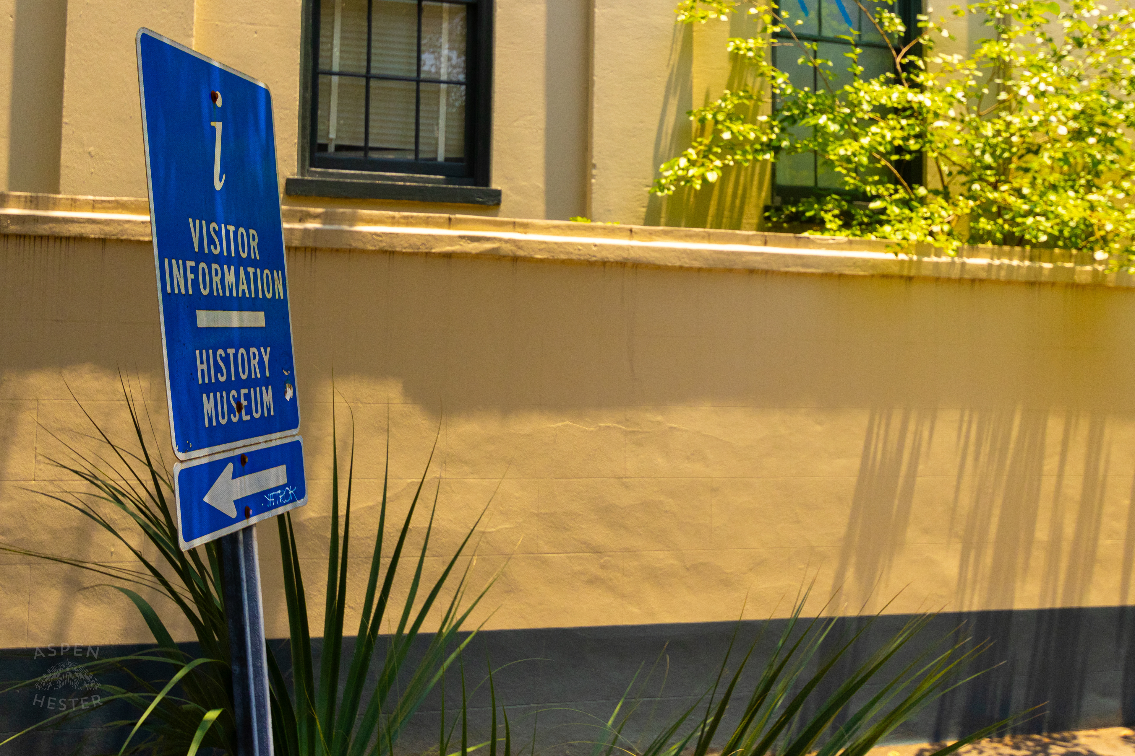 Savannah Georgia. June 24th, 2024/Aspen Hester