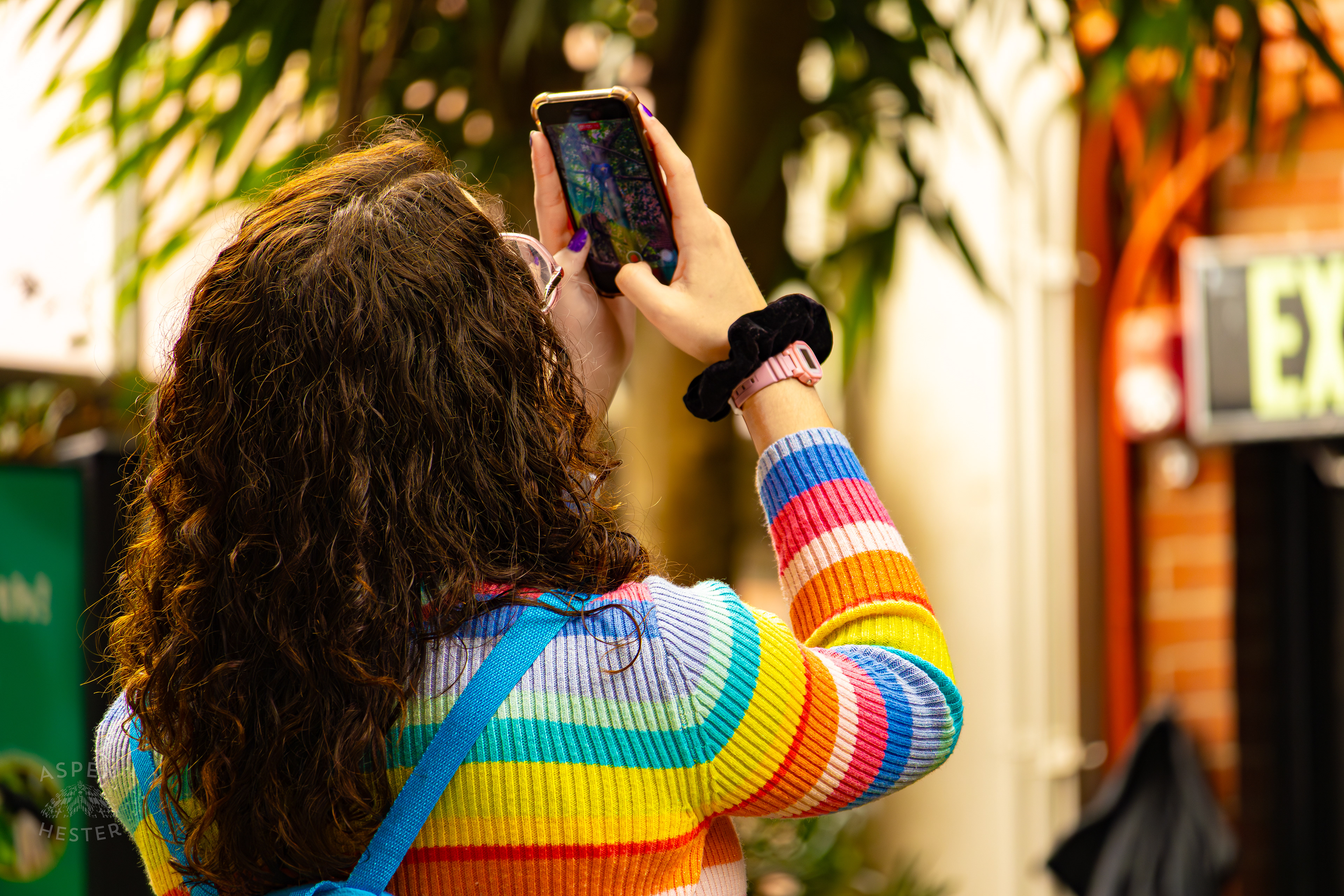 The Prettiest Bird In The Rainforest Inside The National Aviary in Pittsburgh Pennsylvania. February 26th, 2025/Aspen Hester