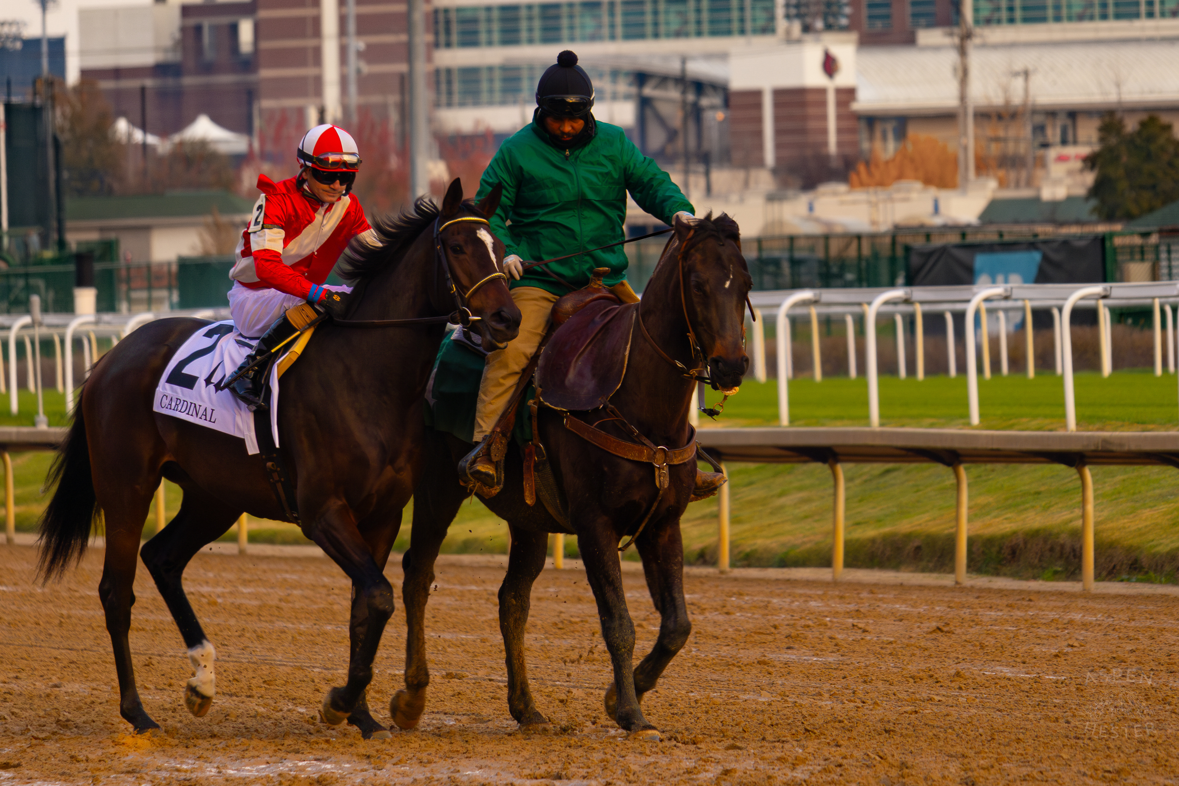 Horse #2 Magical Lute Ridden by Jockey Brian Hernandez Jr. Being Led to The Starting Gate for Race 11 During The Thanksgiving Day Festivities At Churchill Downs. November 28th, 2024/Aspen Hester