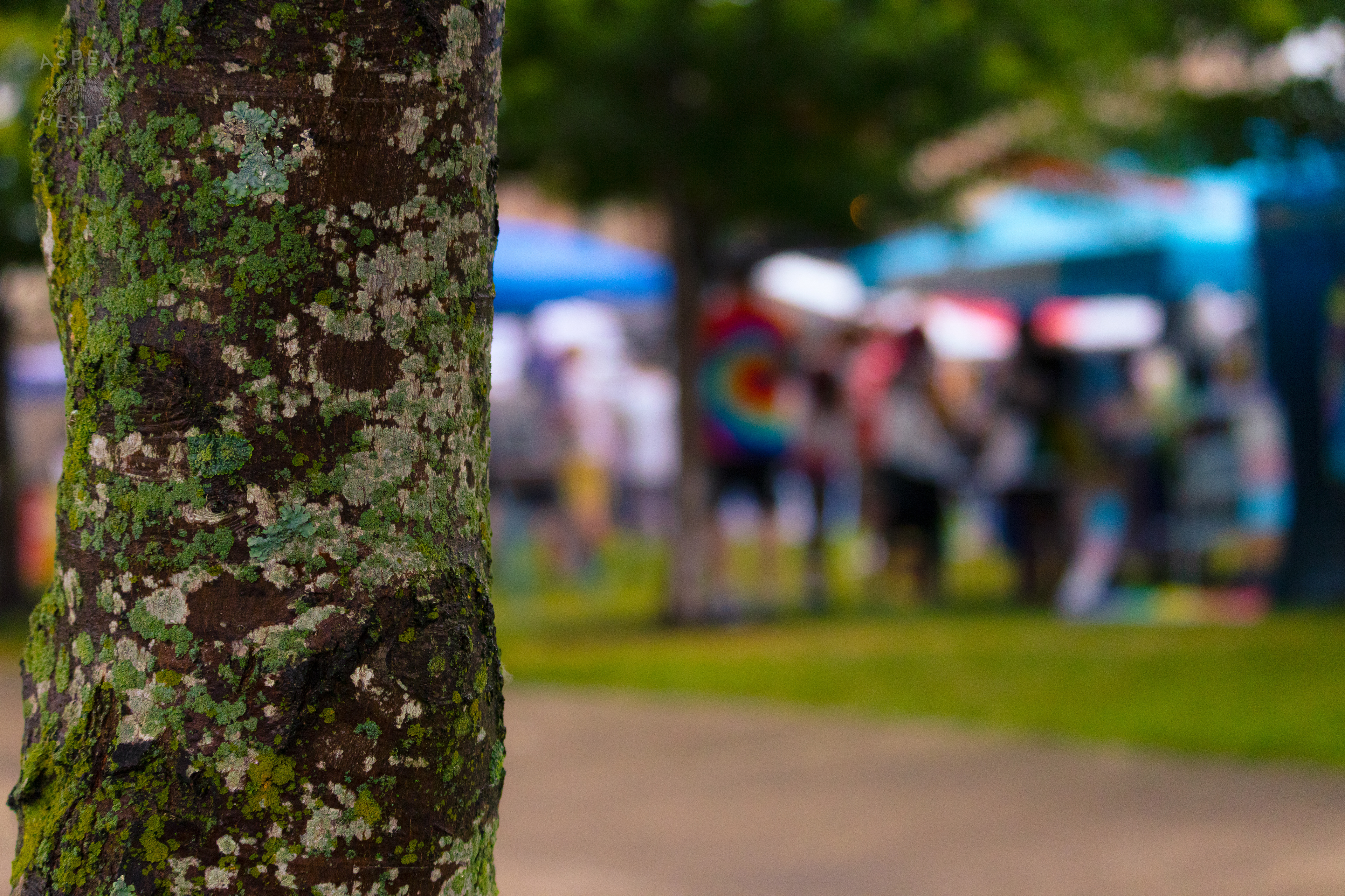 Southern Indiana Pride. June 1st, 2024/Aspen Hester