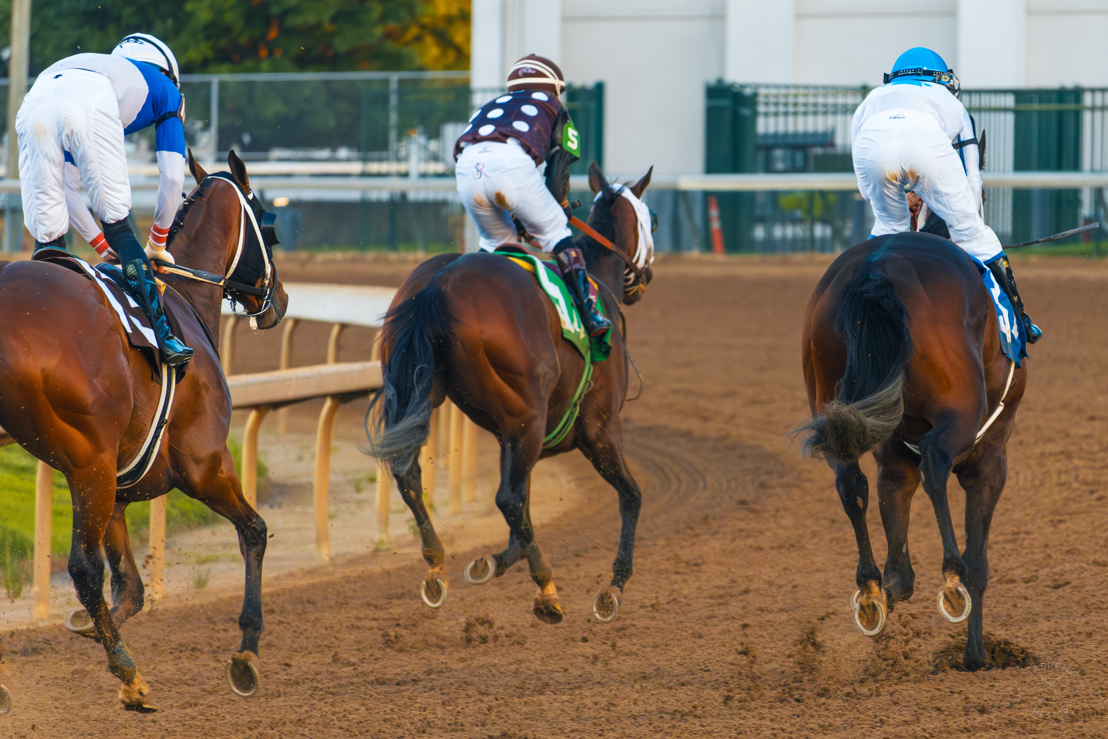 Horses Racing at Downs After Dark. May 18th, 2024/Aspen Hester