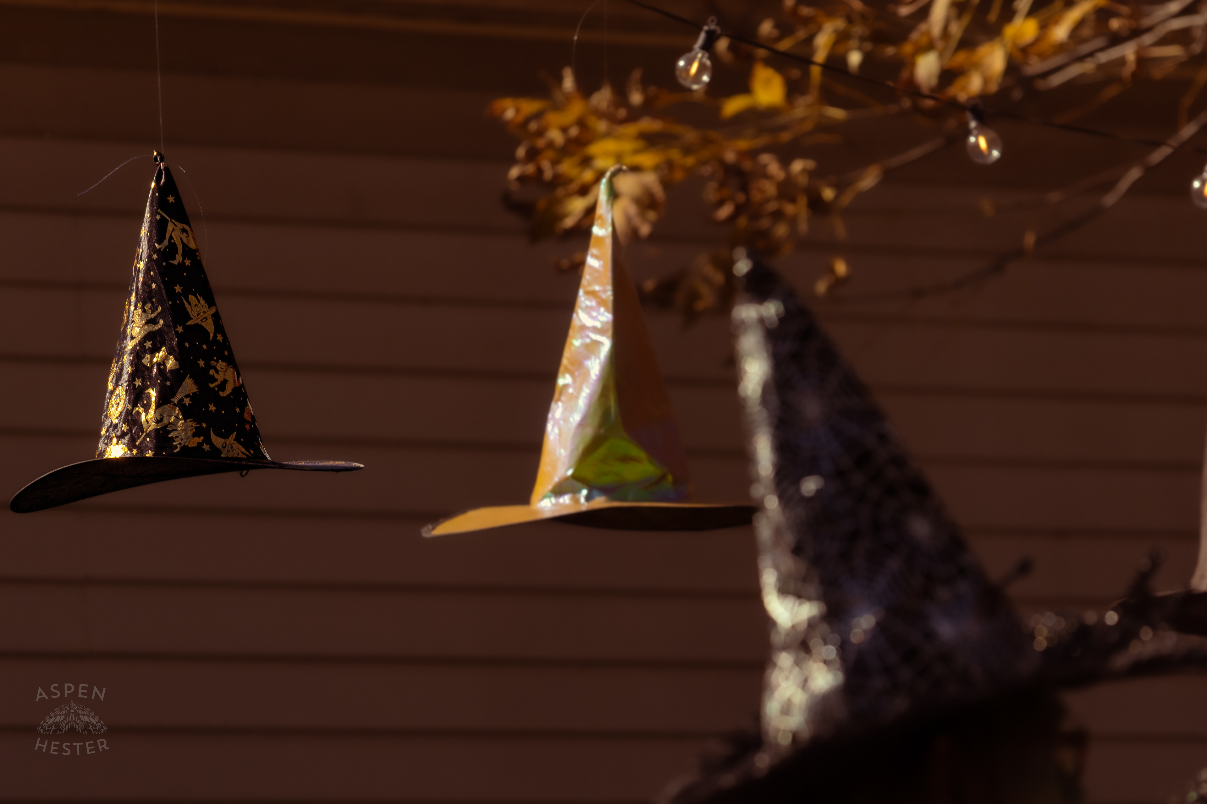Witch Hats Floating Above Dozens of Women Attending Stacey Edrington’s Yearly Witches Brunch in Mt. Washington. October 26th, 2024/Aspen Hester