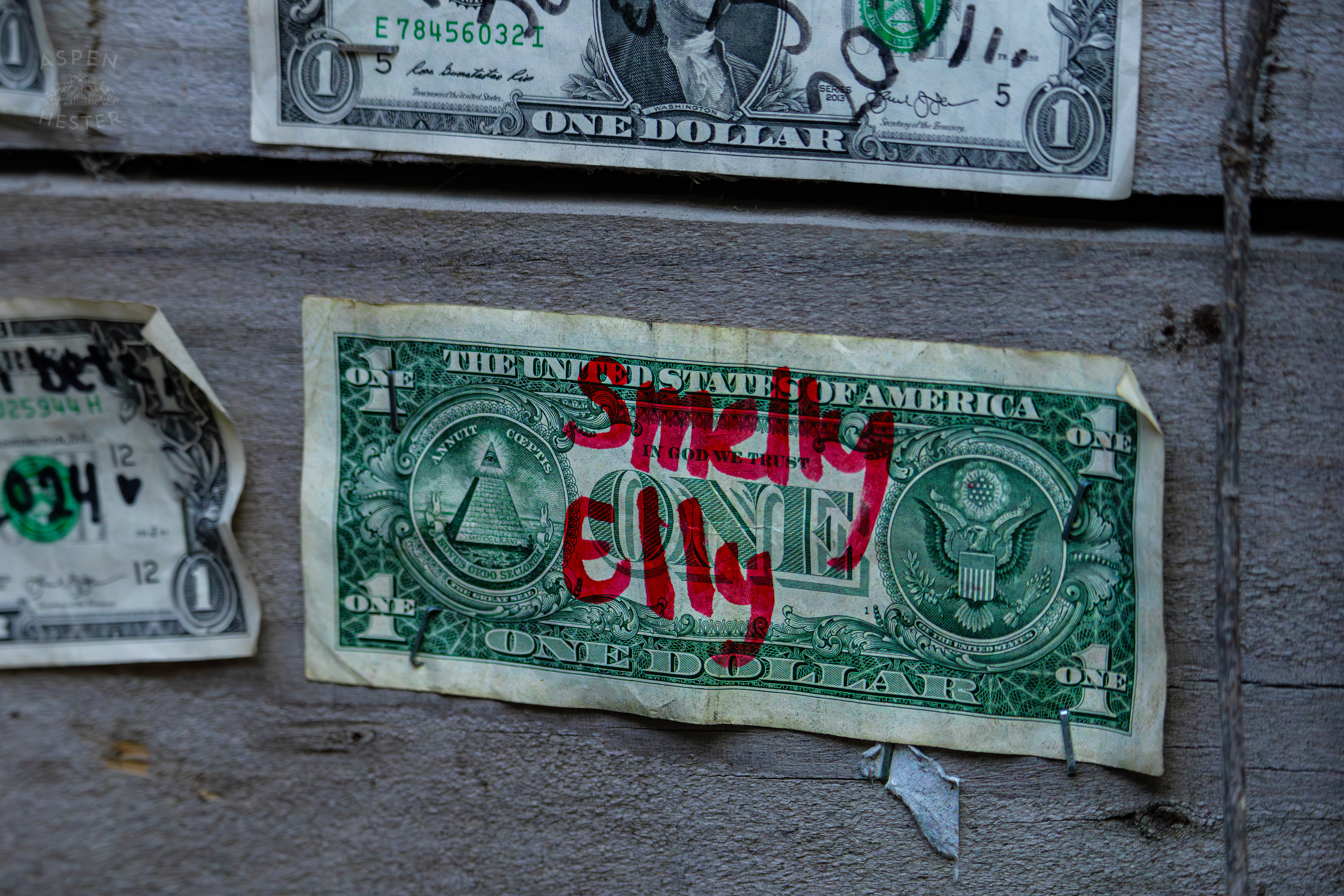 Dollar Bills Stapled to Huc-A-Poos Bites and Booze on Tybee Island Georgia. June 25th, 2024/Aspen Hester