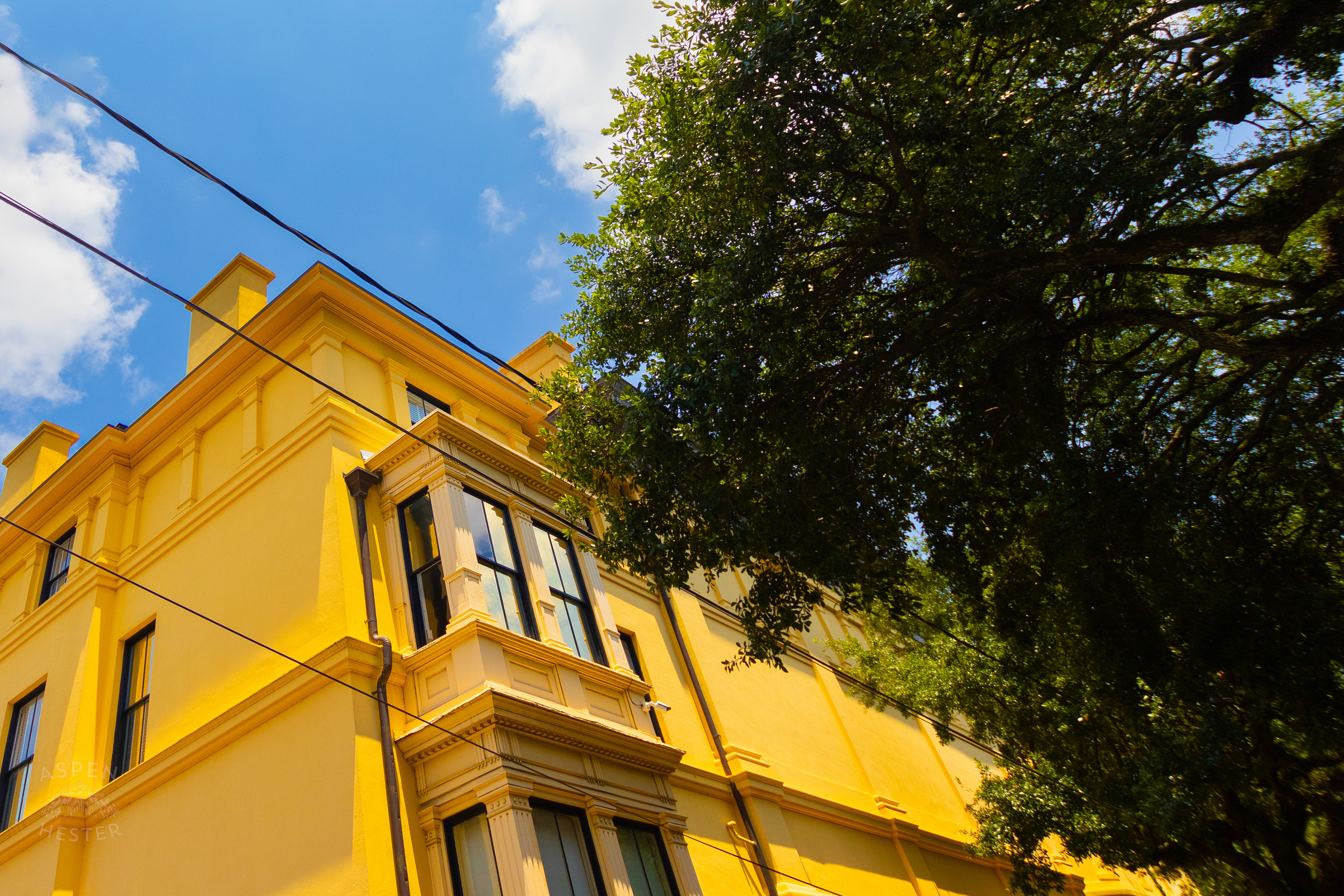 Historic Building in Savannah Georgia. June 26th, 2024/Aspen Hester