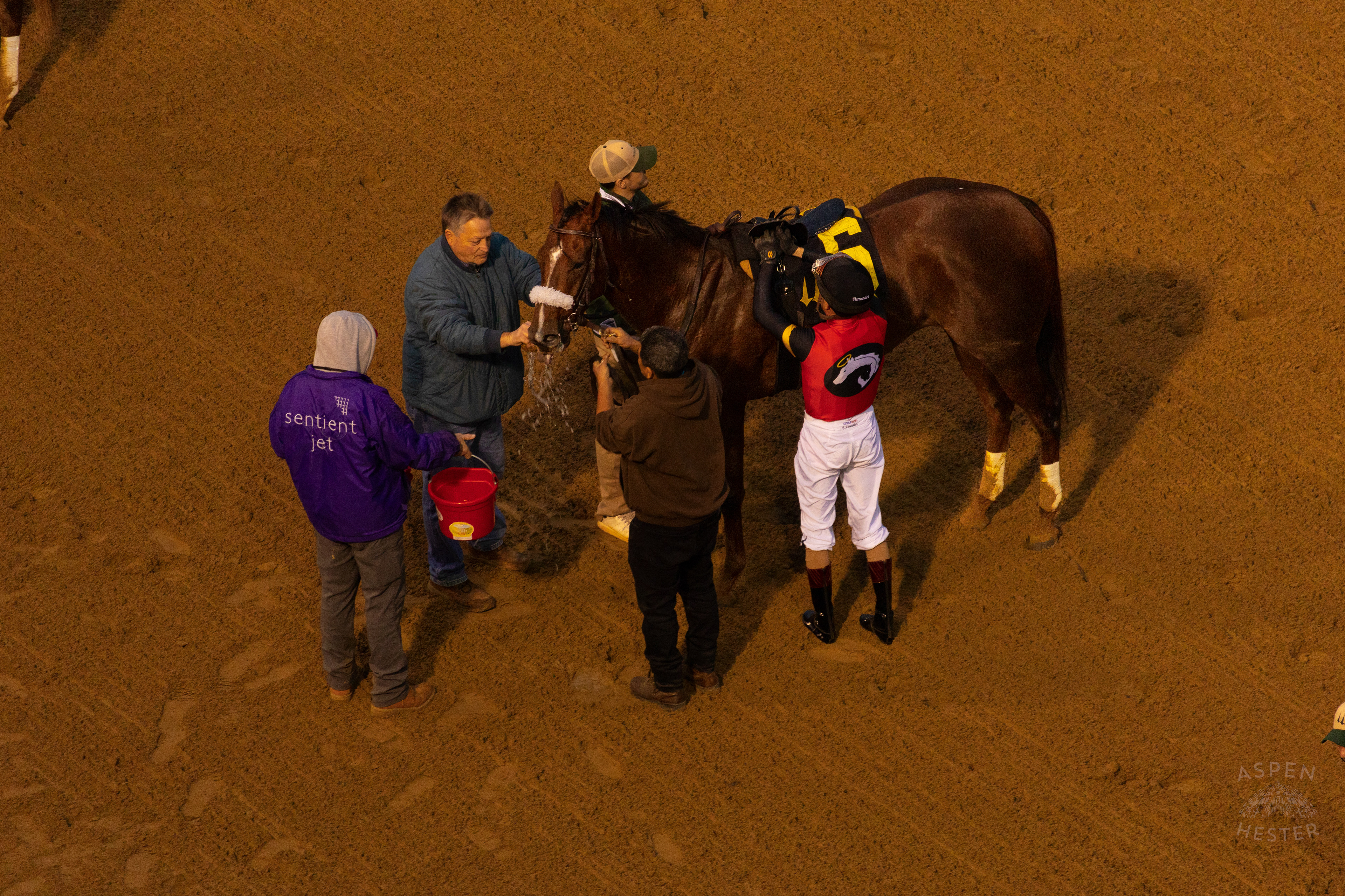 Horse #6 Nay V Belle and Jockey Brian Hernandez Jr. After Running in Race 9 On The Day Bob Baffert Returned to Churchill Downs After A 3 Year Suspension. November 27th, 2024/Aspen Hester