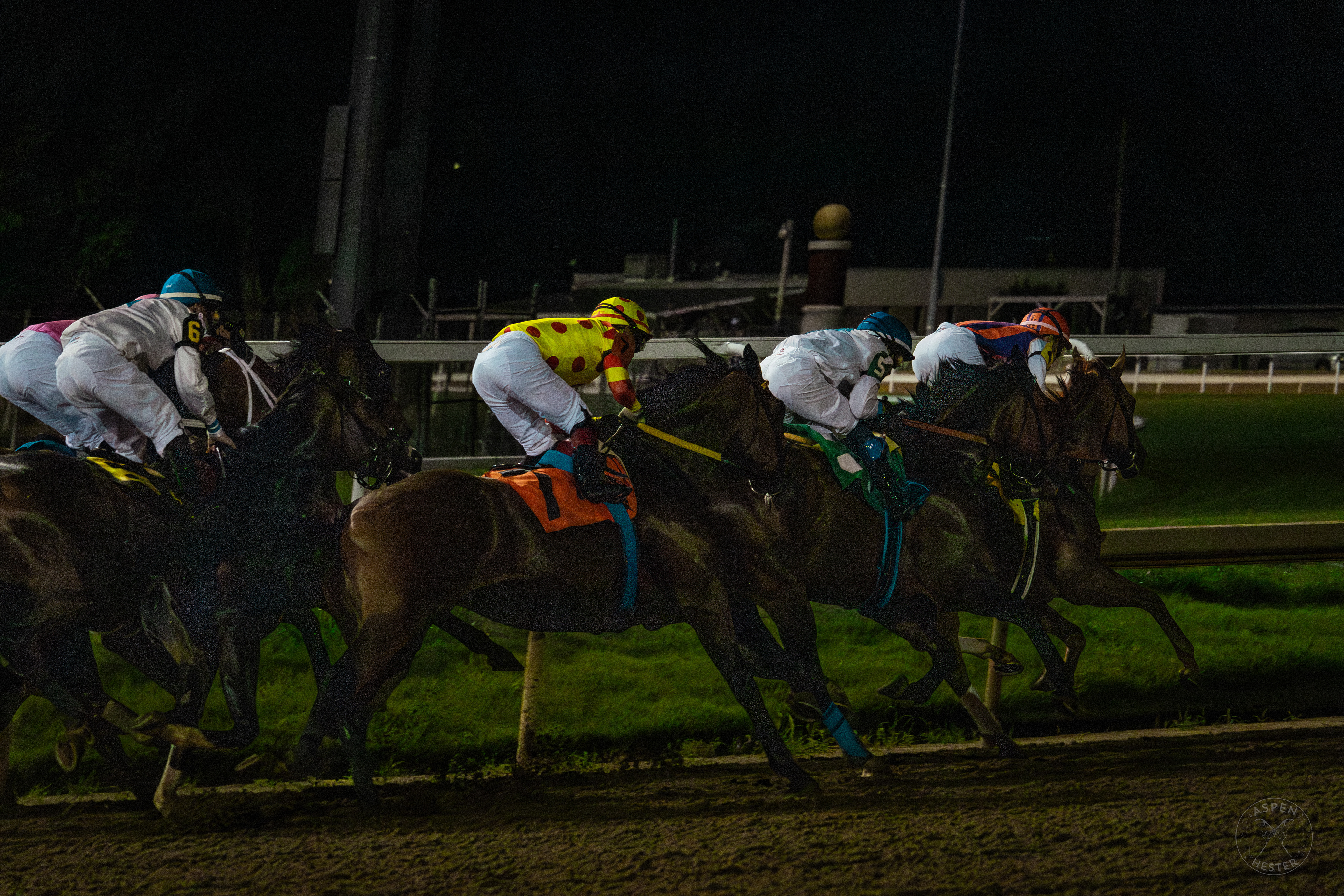 Horses Racing at Downs After Dark. May 18th, 2024/Aspen Hester