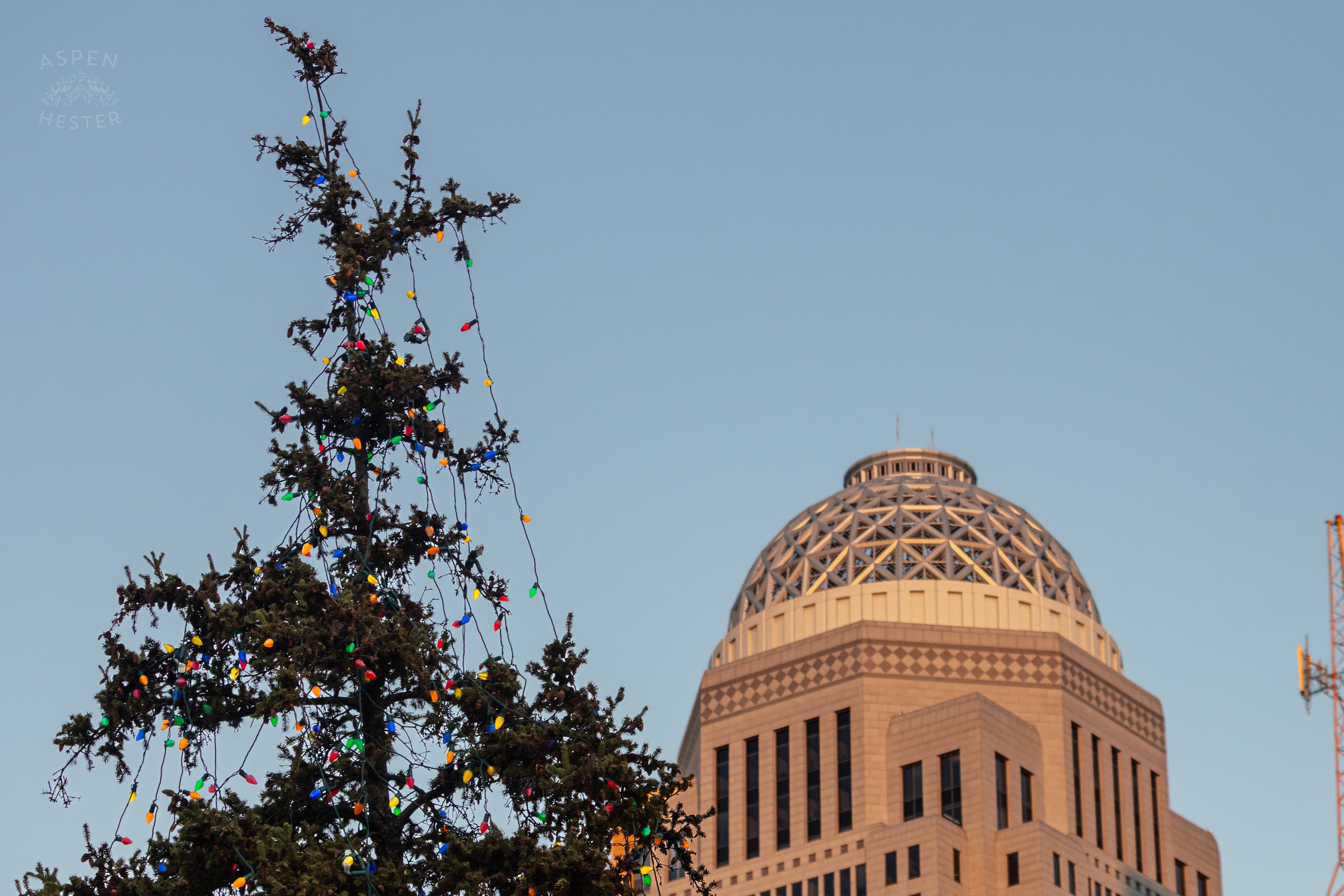 The Mercer Building in The Shadow of A Tree Decked Out in Lights at The Light Up Louisville 2024 Festivities. December 7th, 2024/Aspen Hester