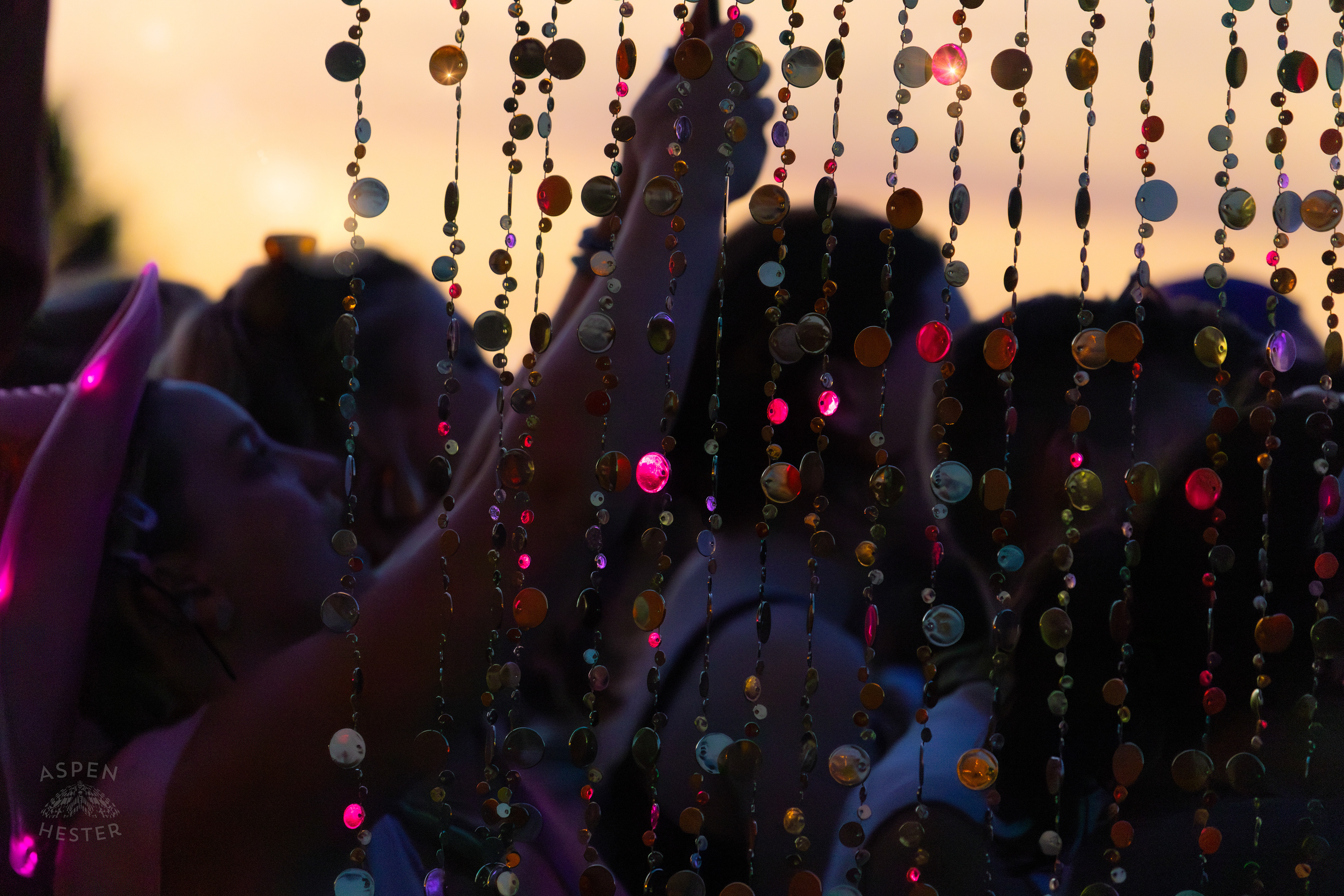 The VIP Section Watching Chappell Roan at Kentuckiana Pride. June 15th, 2024/Aspen Hester