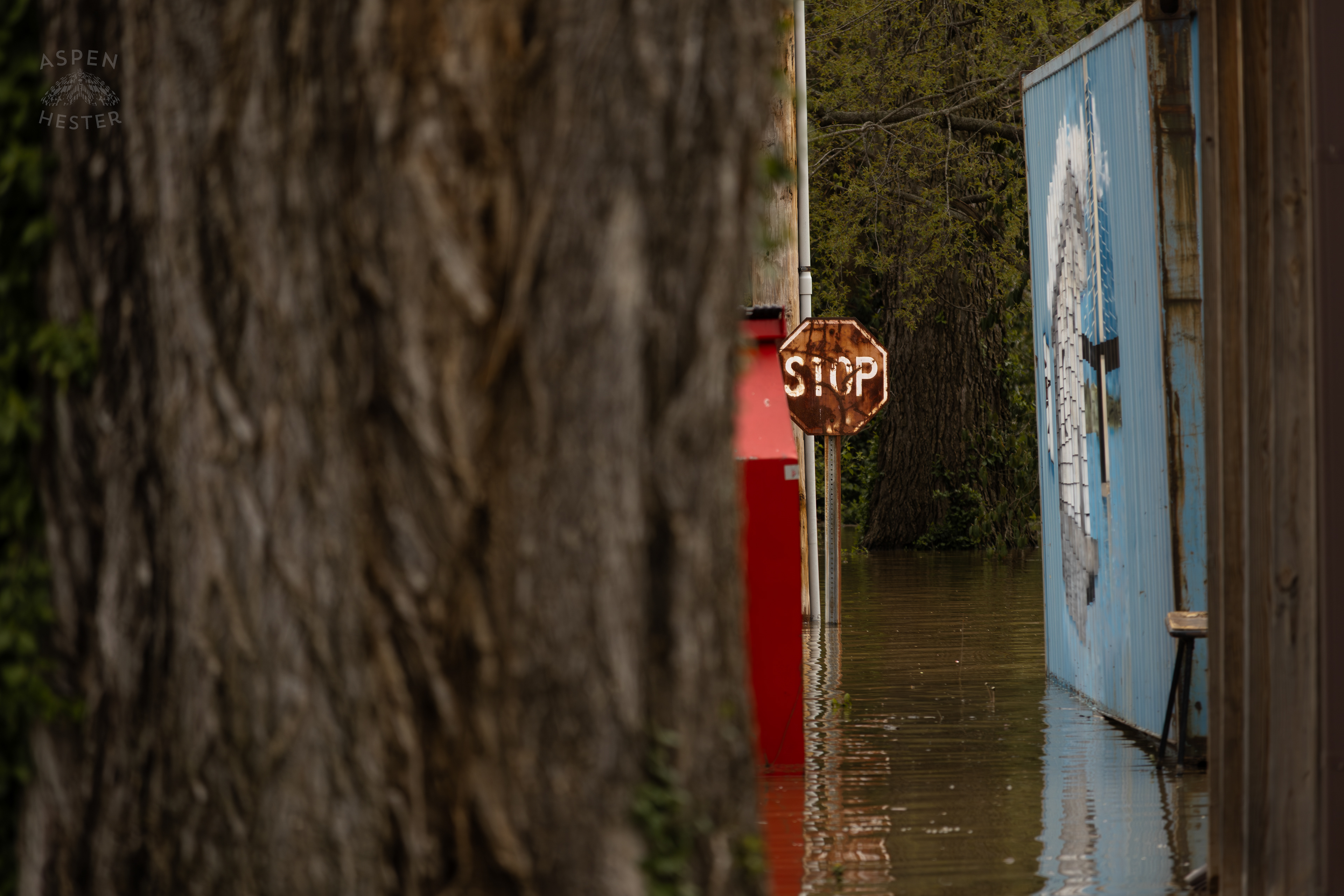 Stop Sign and Buildings Submerged Amid The Historic Flooding in Utica Indiana. April 9th, 2025/Aspen Hester