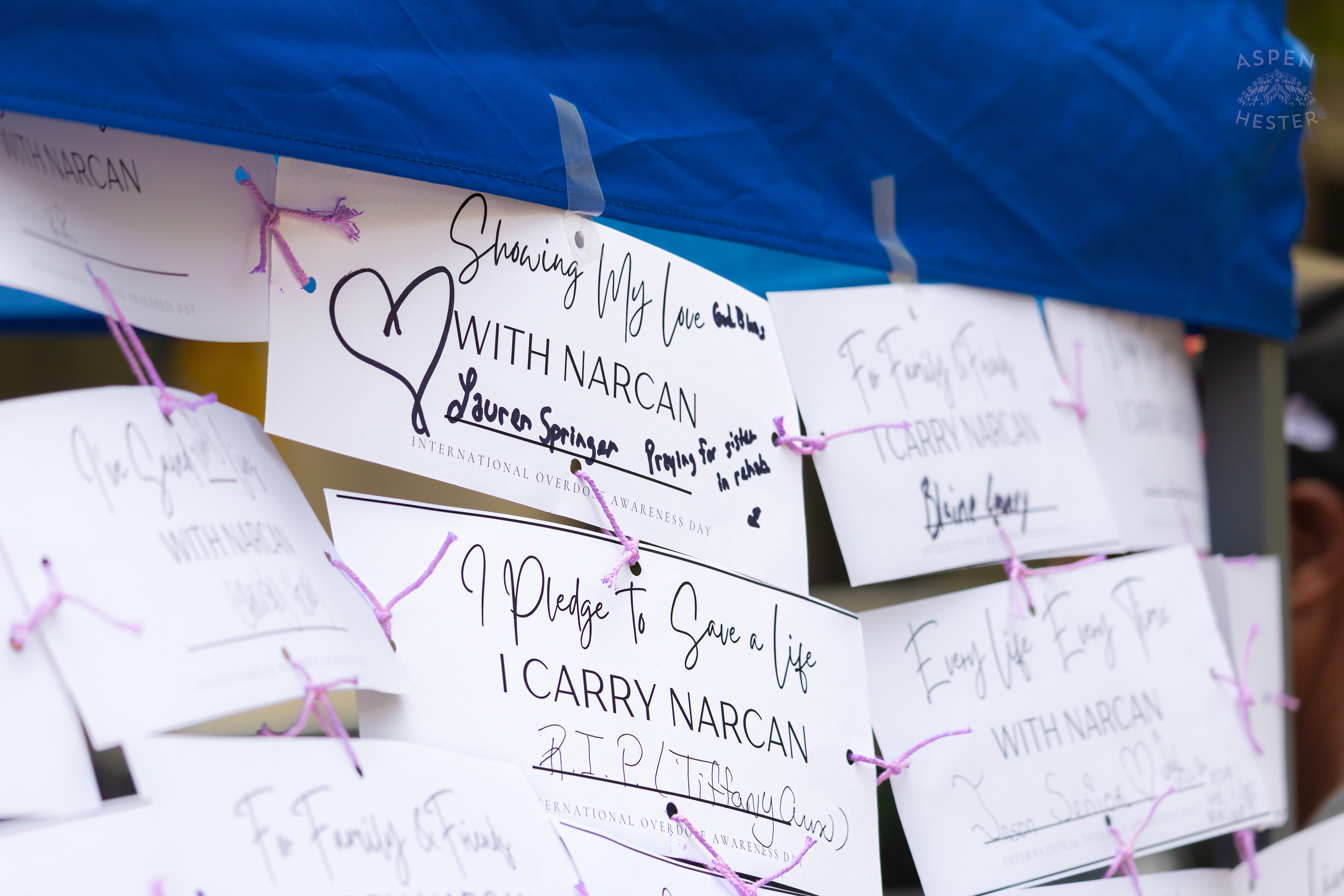 Cards Sharing Why People Carry Narcan with Them at The 3rd Annual Vocal KY International Overdose Awareness Day Rally and March. August 31st, 2024/Aspen Hester