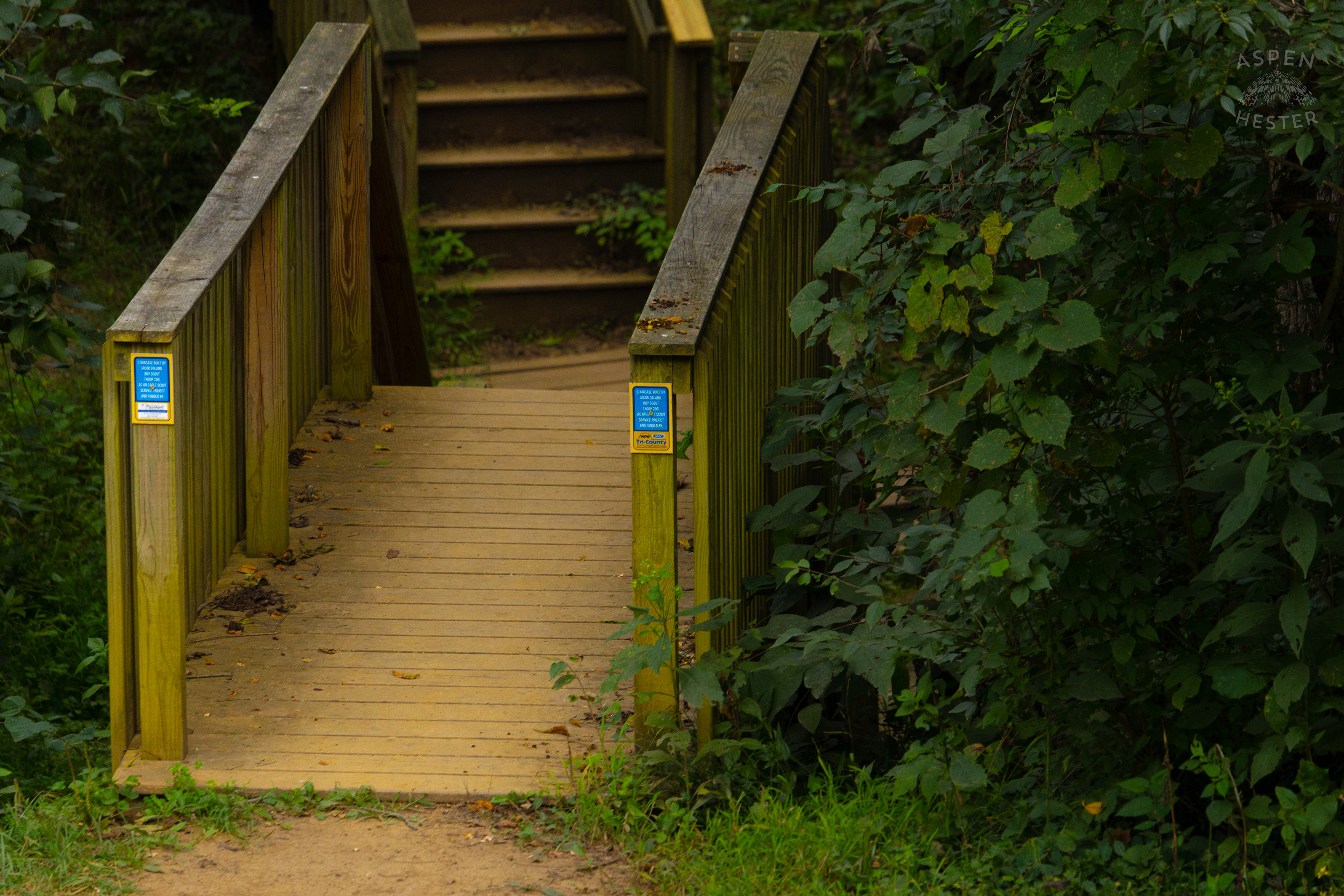 Bridge Over The Creek in Wendell Moore Park. August 12th, 2024/Aspen Hester