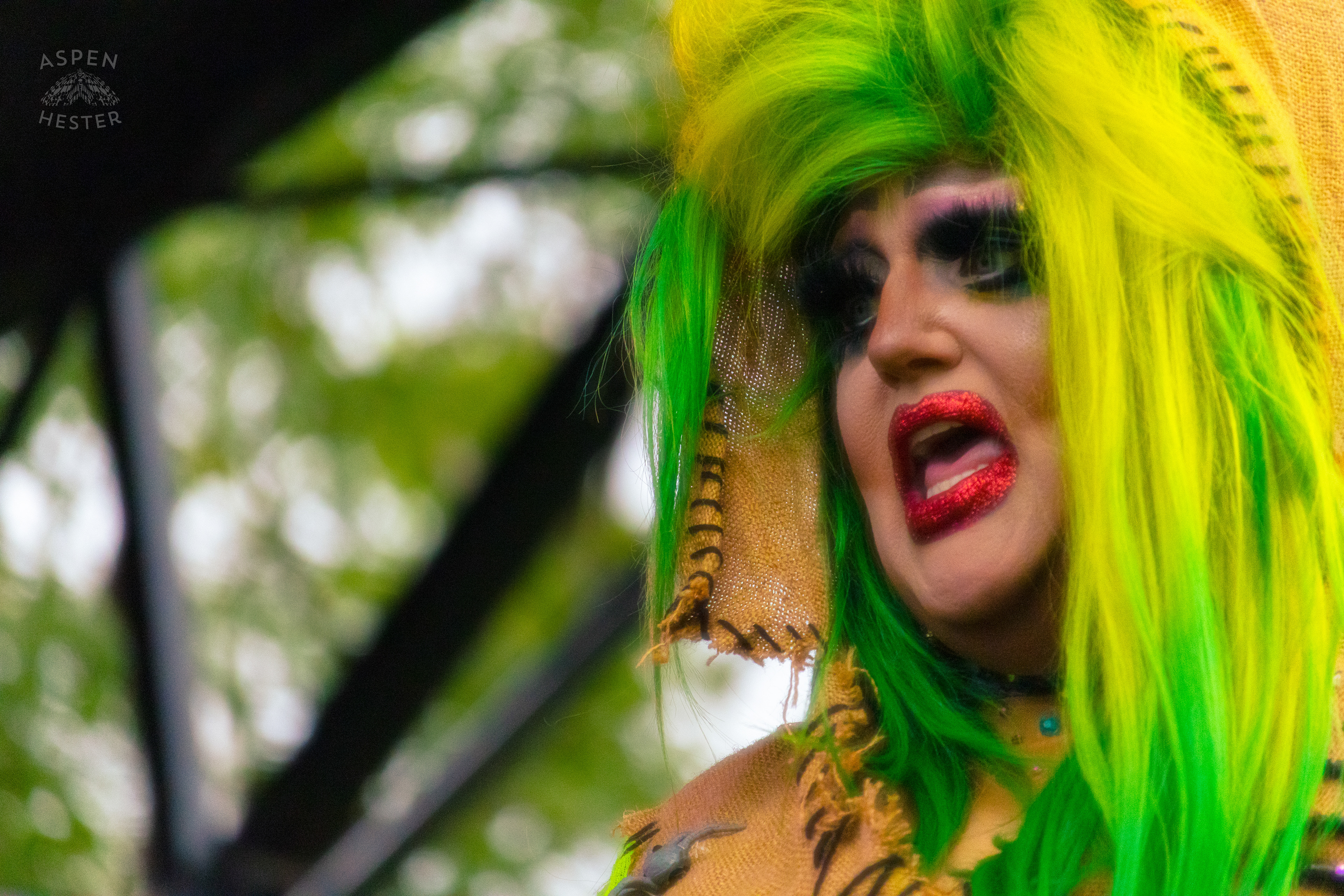 Drag Queen Performing as The Oogie Boogie Woman From the Movie The Nightmare Before Christmas During Pride Bar's Family Friendly Drag Show at Southern Indiana Pride. June 1st, 2024/Aspen Hester