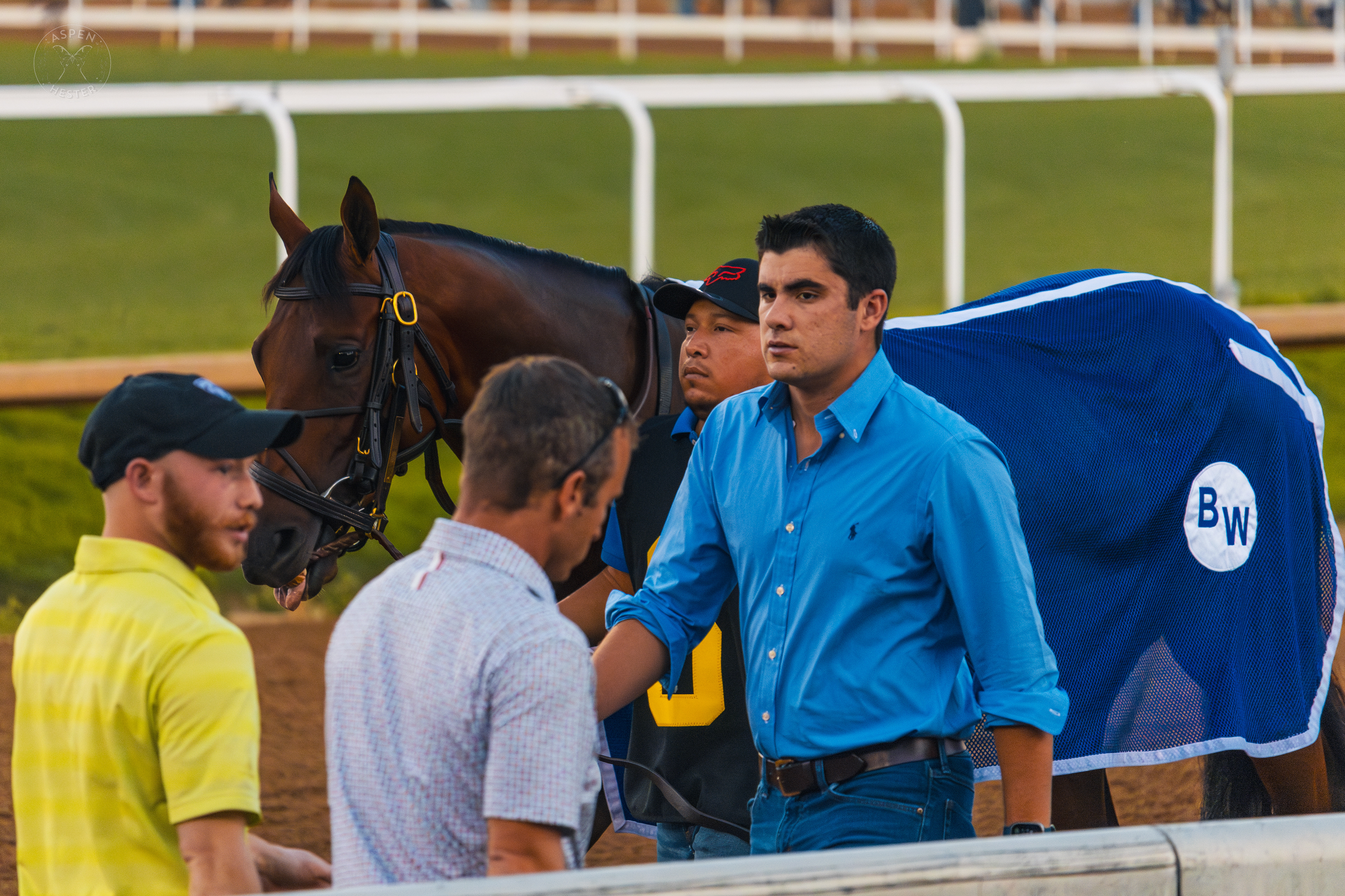 Horse Strolling Down the Track at Downs After Dark. May 18th, 2024/Aspen Hester