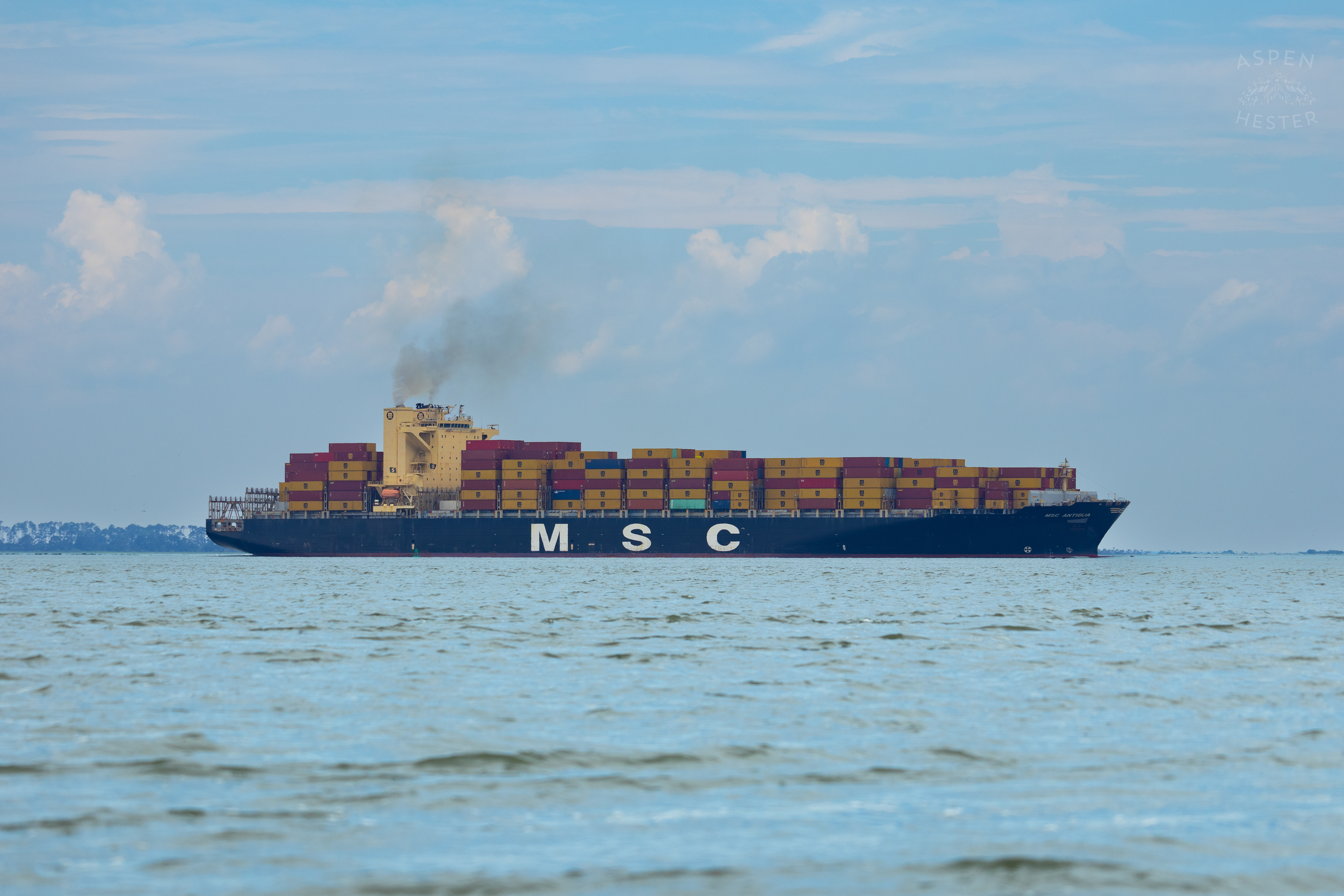 Cargo Ship Off The Coast of Tybee Island Georgia. June 24th, 2024/Aspen Hester