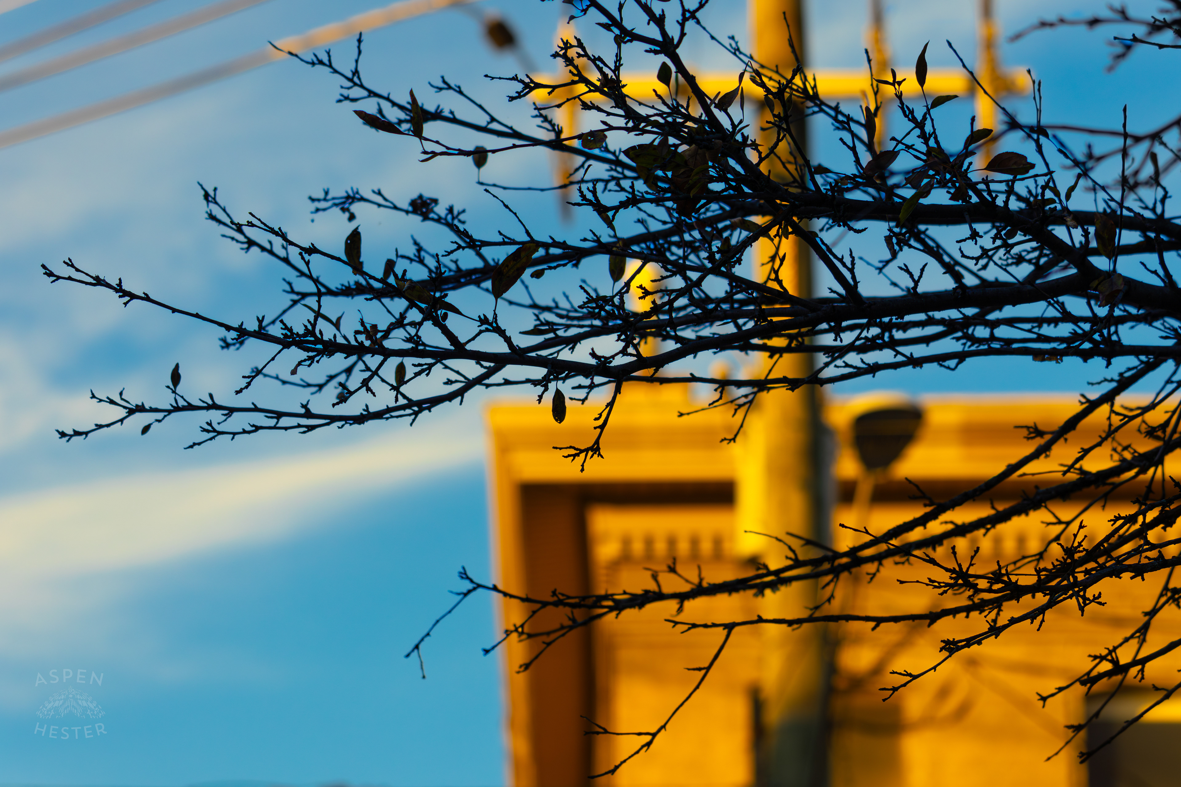 Sunlight Reflecting Off Buildings In Nulu on A Saturday Evening. November 14th, 2024/Aspen Hester