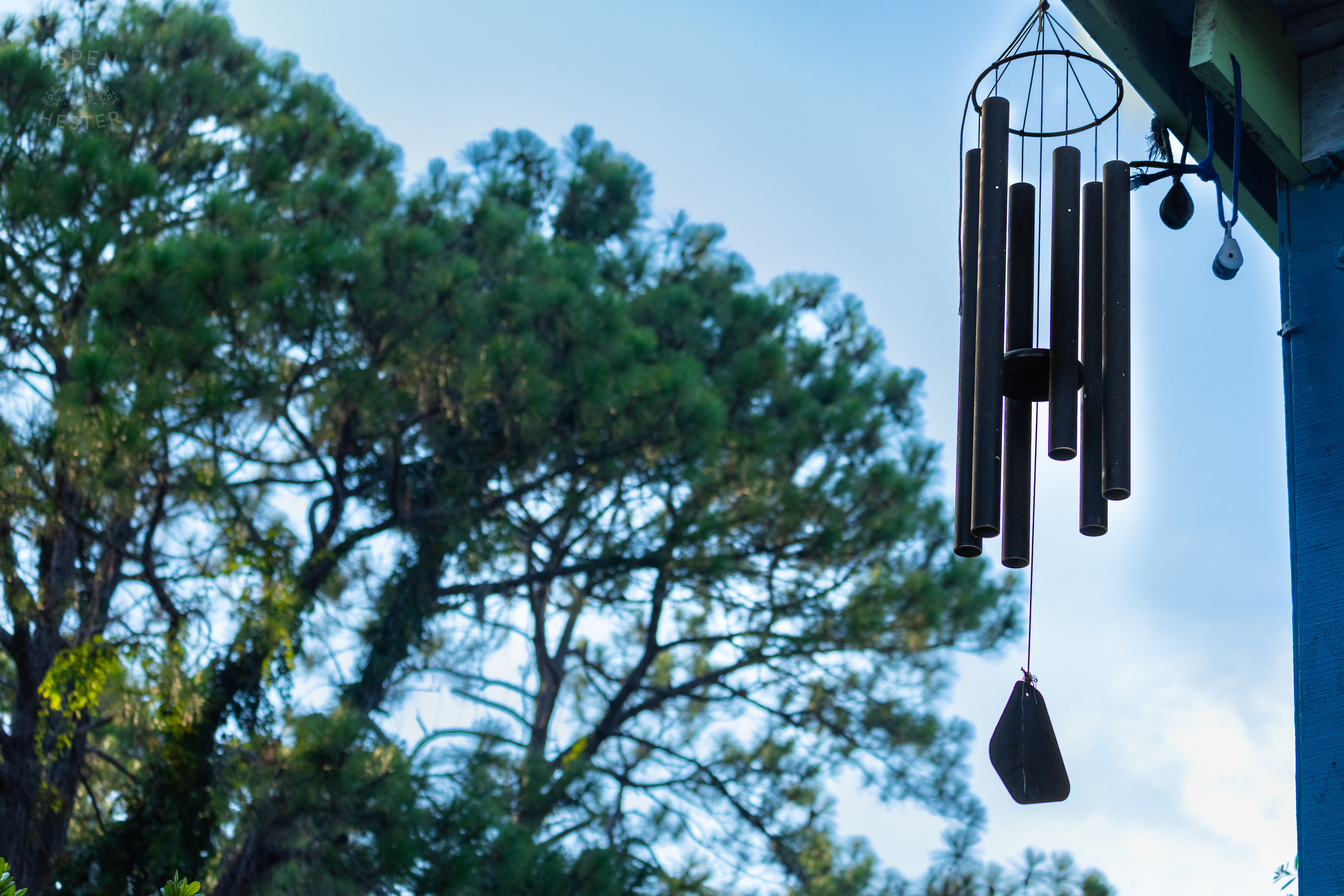 Windchimes Hanging Off Huc-A-Poos Bites and Booze on Tybee Island Georgia. June 25th, 2024/Aspen Hester