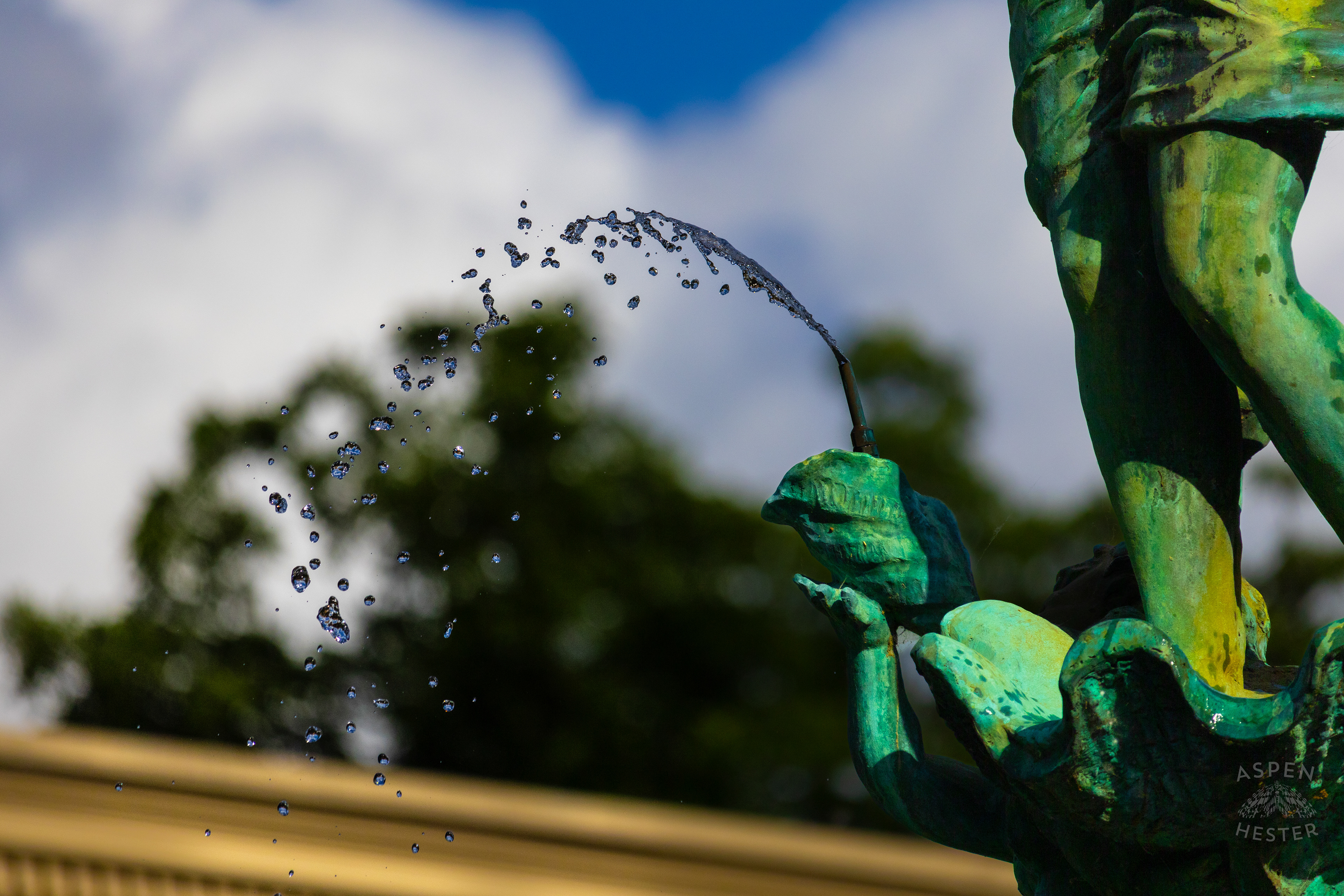 St James Court Fountain. June 6th, 2024/Aspen Hester