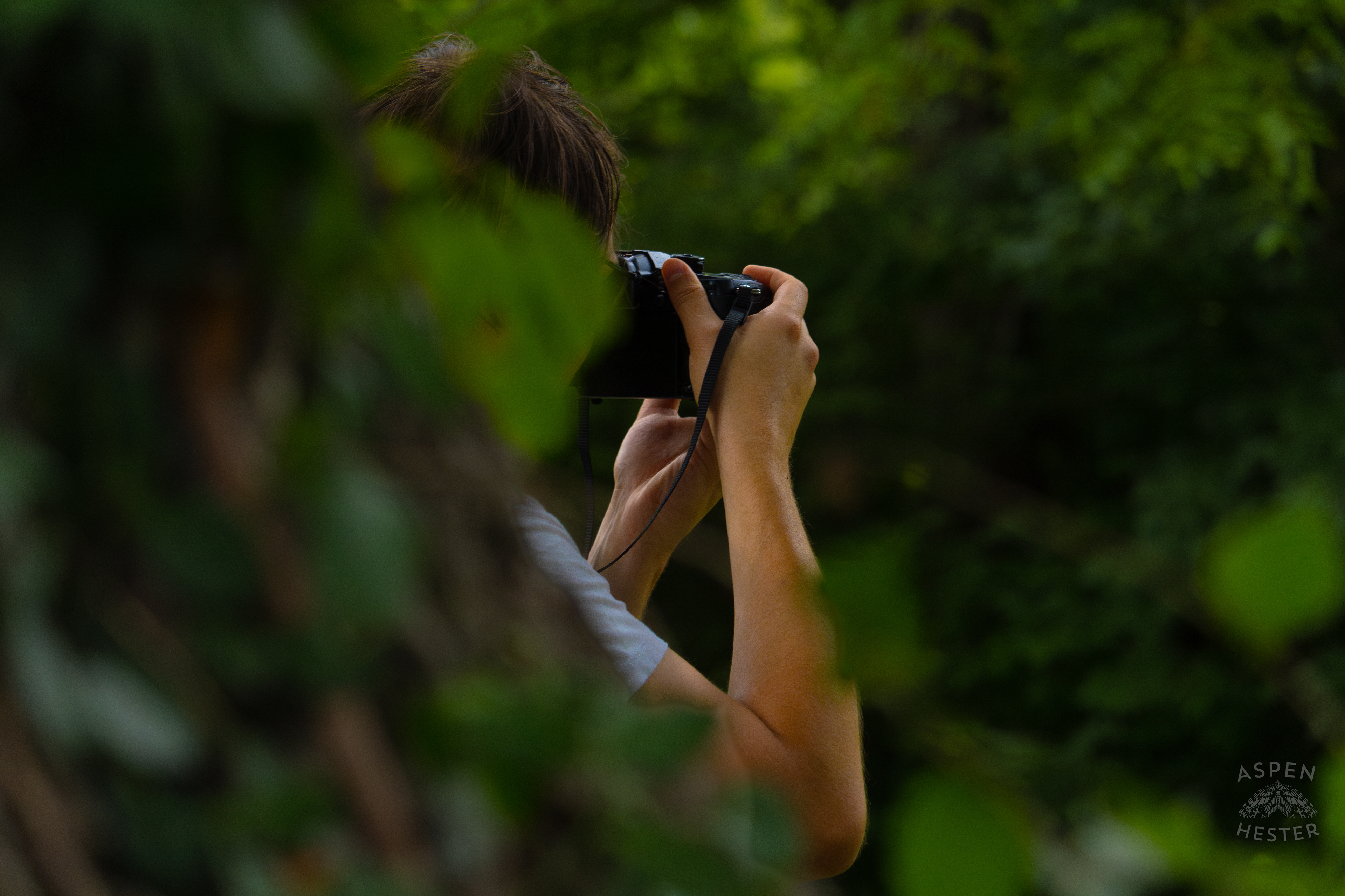 The Most Beautiful Thing in Wendell Moore Park. August 12th, 2024/Aspen Hester