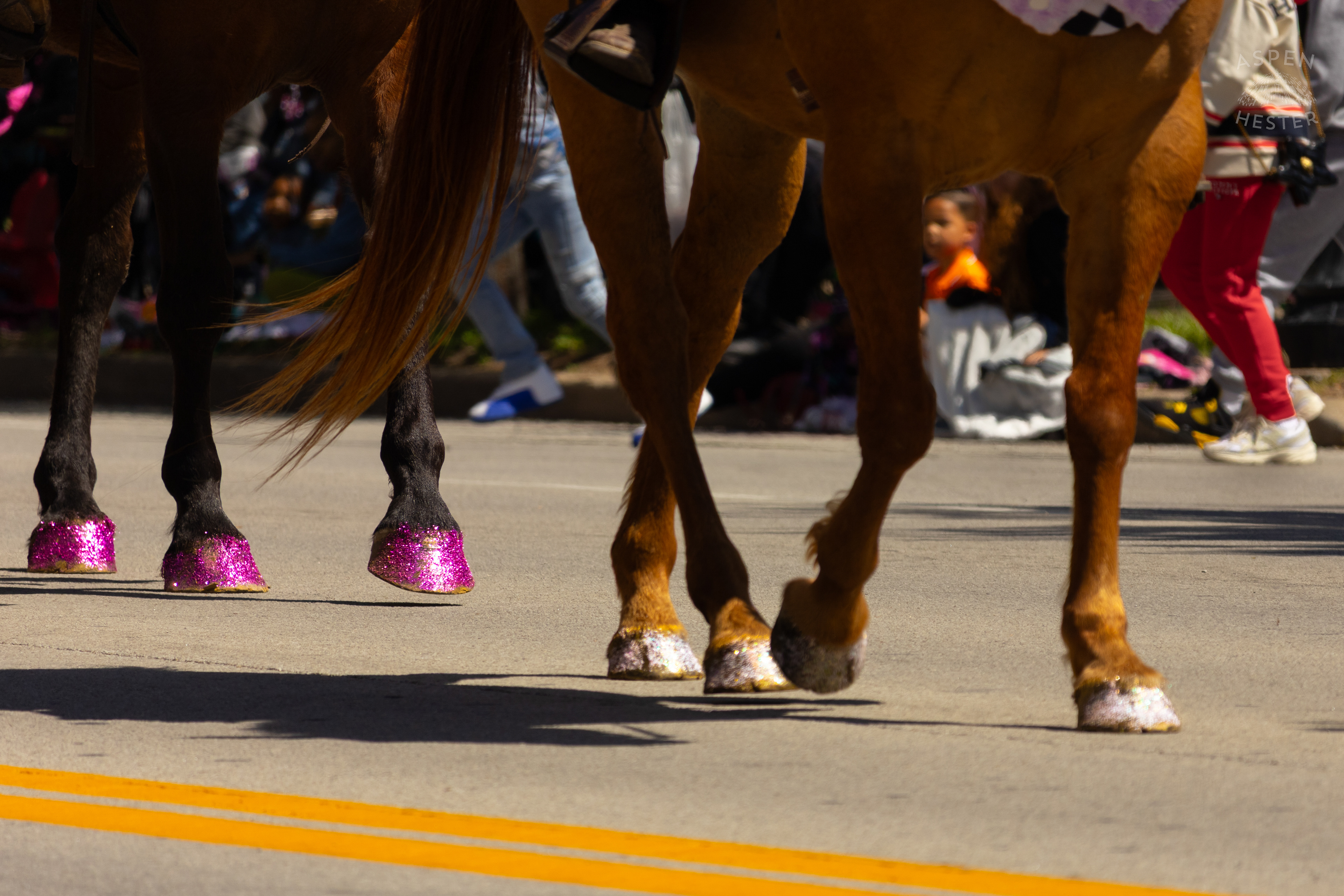 The Glittered Horseshoes of The American Sidesaddle Association as They March Down West Broadway for The 70th Annual Pegasus Parade. April 27th, 2025/Aspen Hester