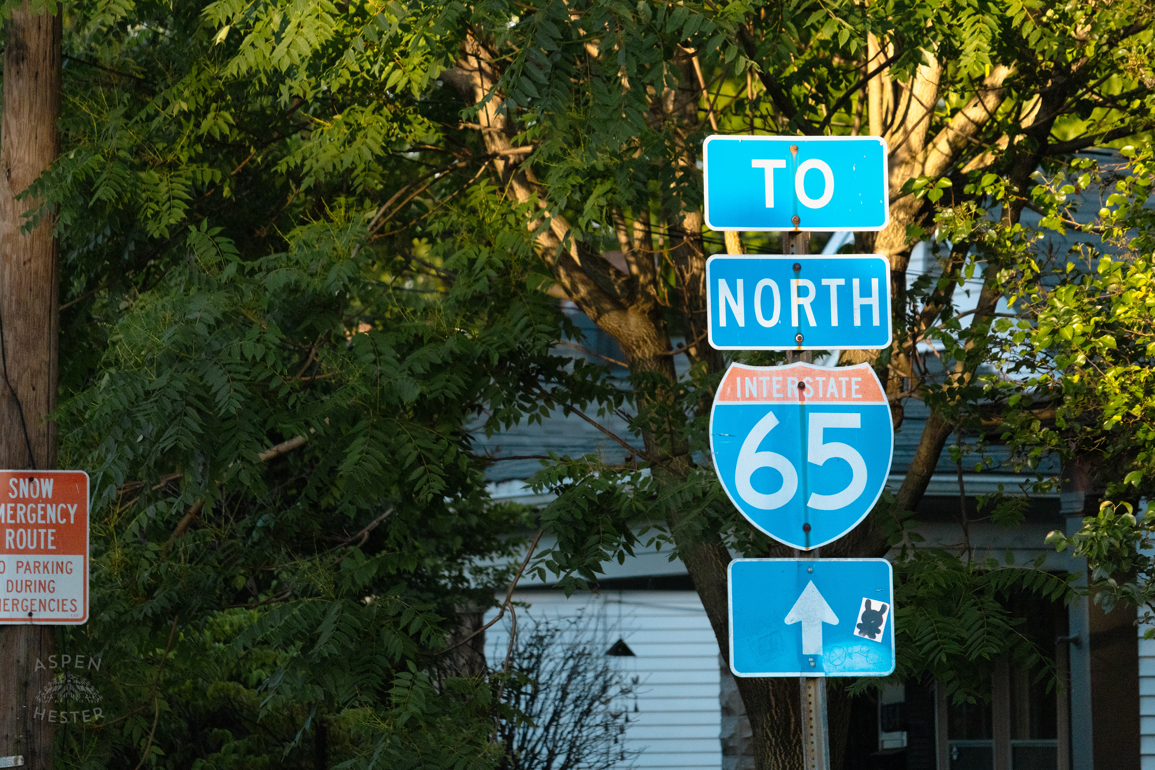 65 North Street Sign During Golden Hour on Preston Street. May 30th, 2024/Aspen Hester